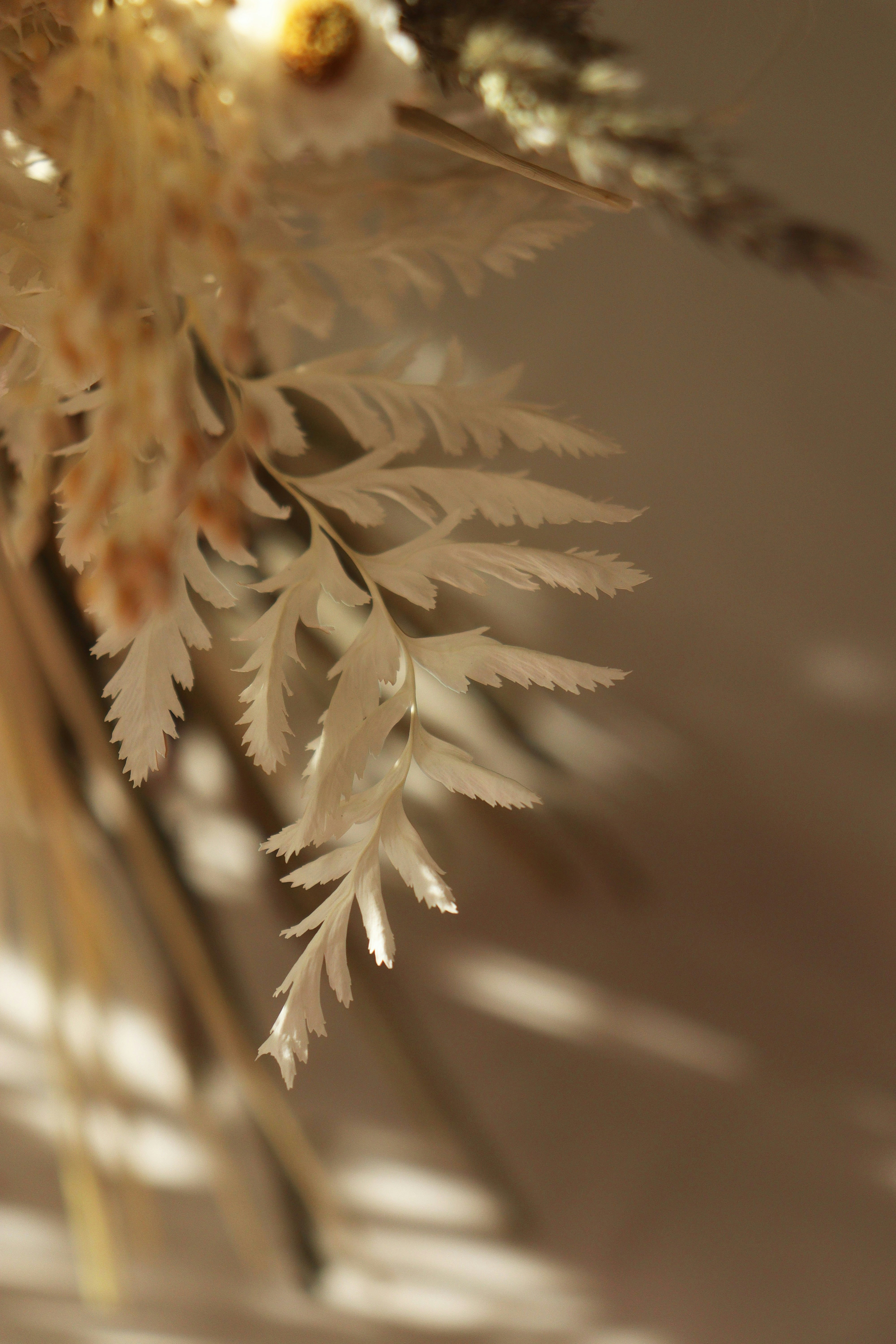 Photo by fridaflowers