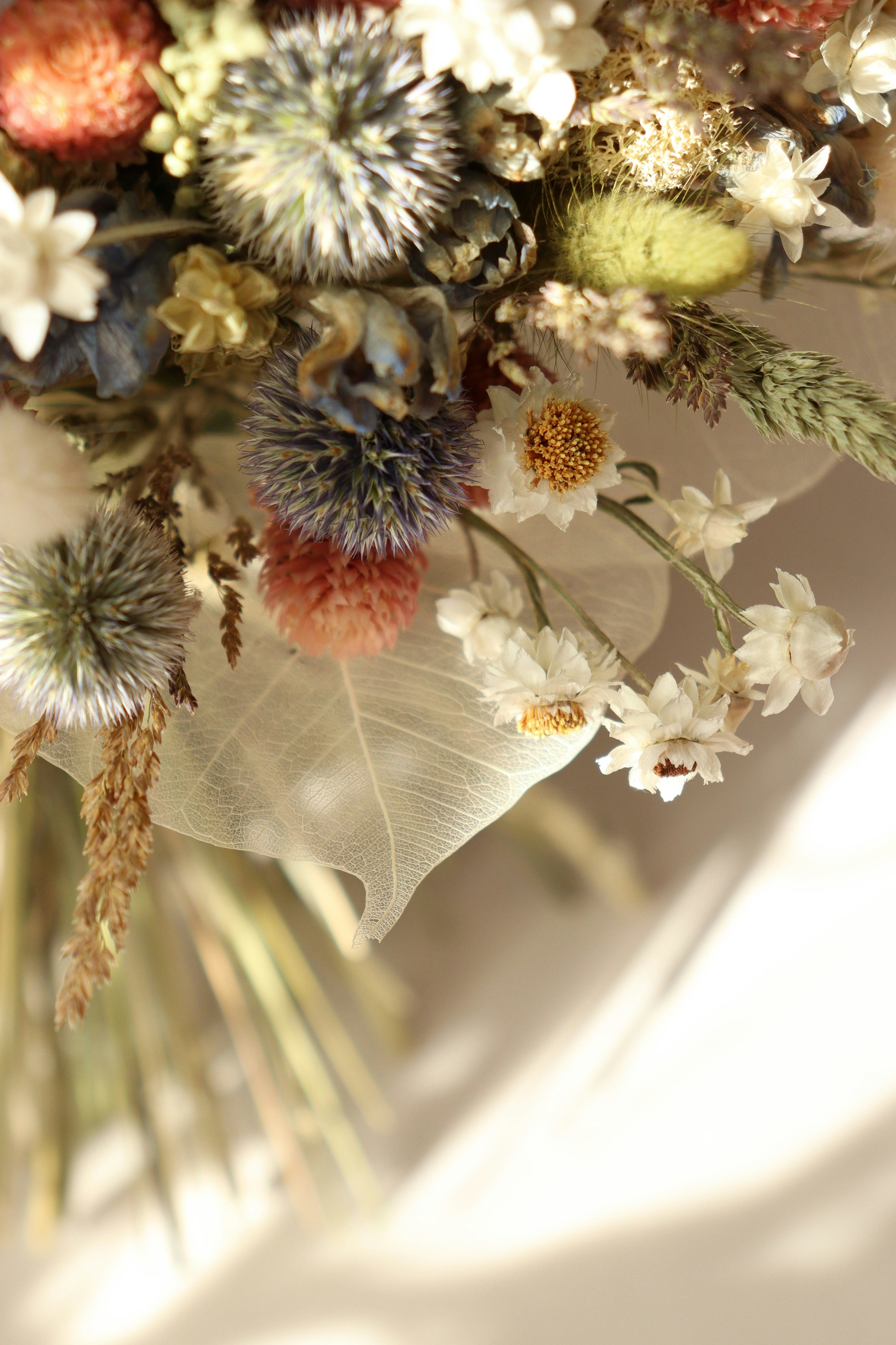 Photo by fridaflowers