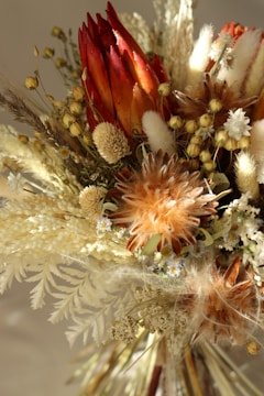 A close-up view of a dried floral arrangement featuring various textures and colors, primarily in earthy tones. The focal points are the spiky orange-red and brown elements, surrounded by soft, feathery beige and cream dried flowers and leaves.