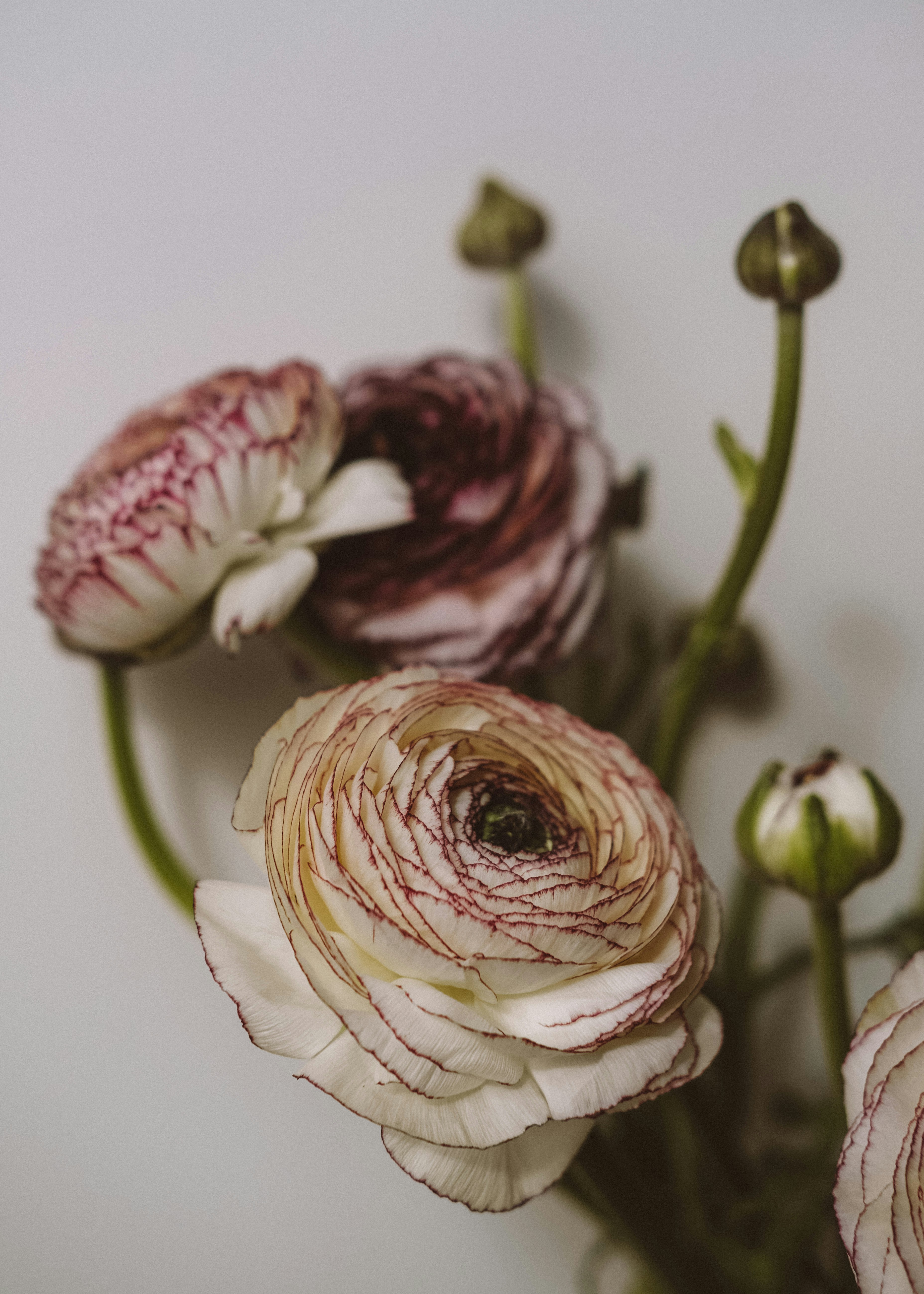Photo by farrinni