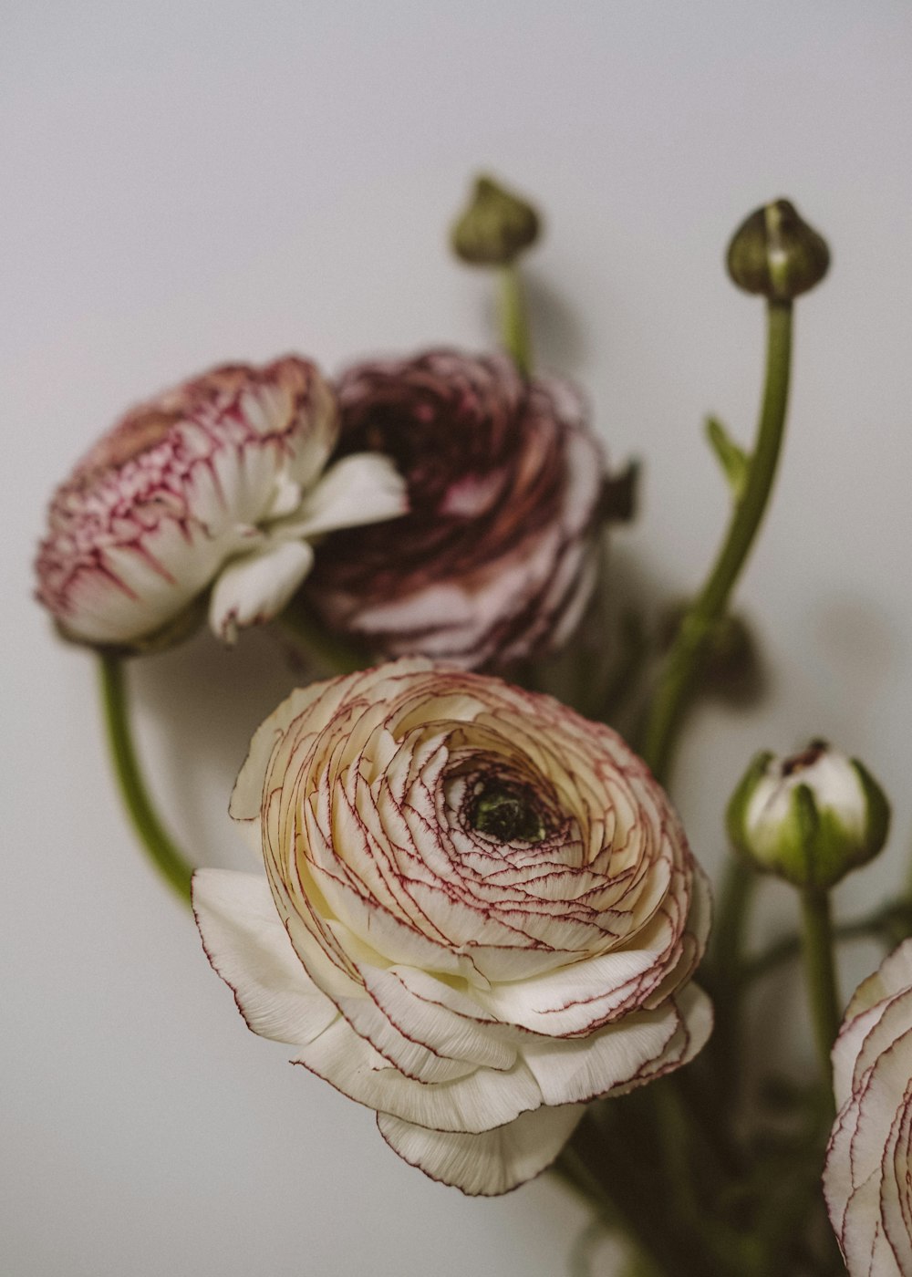 a bunch of flowers that are on a table