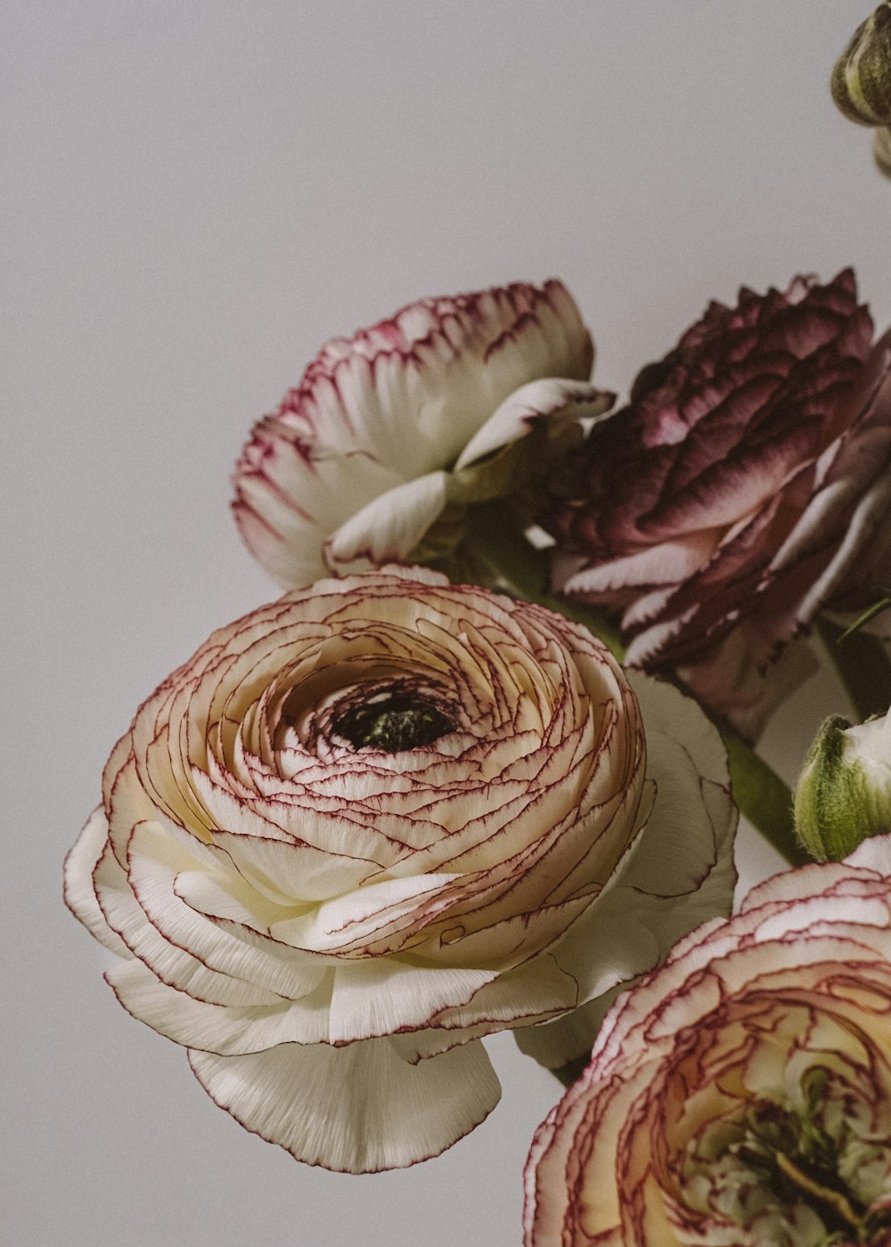 a bunch of flowers that are sitting on a table