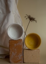 An artistic composition featuring a white bowl and a yellow bowl with a textured edge, balanced on two rectangular bricks. A dried plant with delicate branches adds an element of nature, while a draped white fabric serves as the backdrop, enhancing the minimalist aesthetic.
