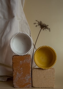 An artistic composition featuring a white bowl and a yellow bowl with a textured edge, balanced on two rectangular bricks. A dried plant with delicate branches adds an element of nature, while a draped white fabric serves as the backdrop, enhancing the minimalist aesthetic.
