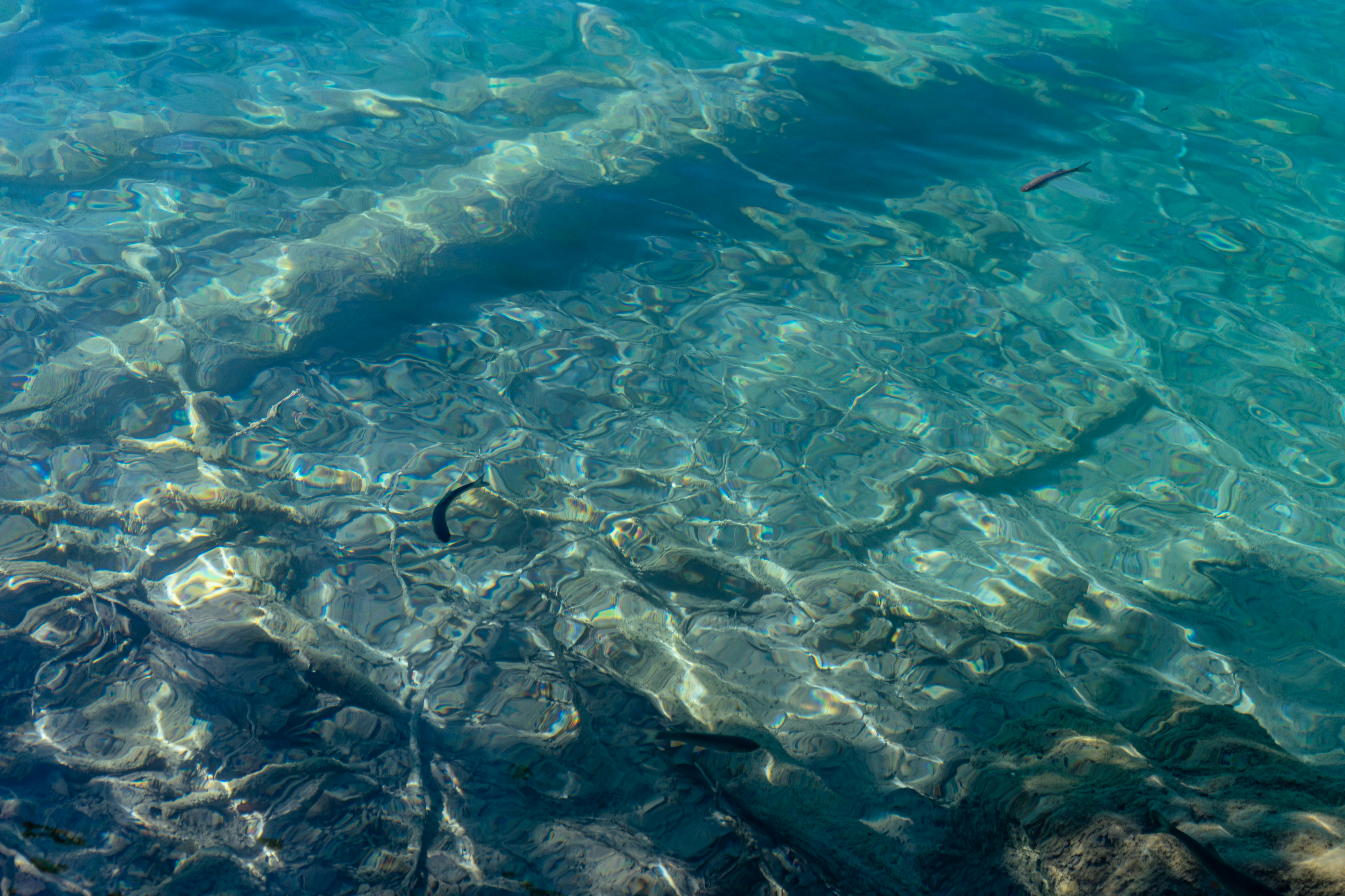 Photo by virussinside