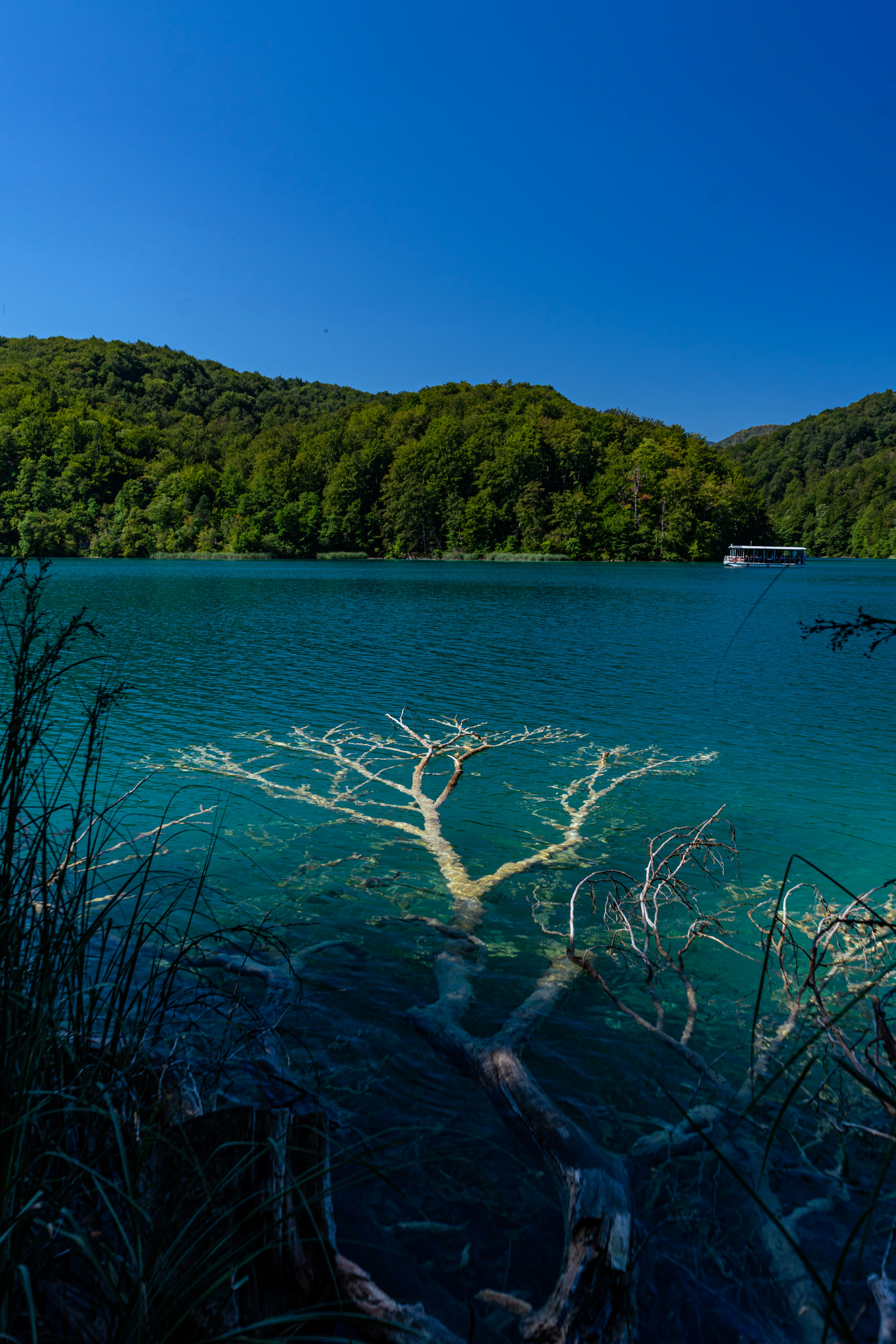 Photo by virussinside