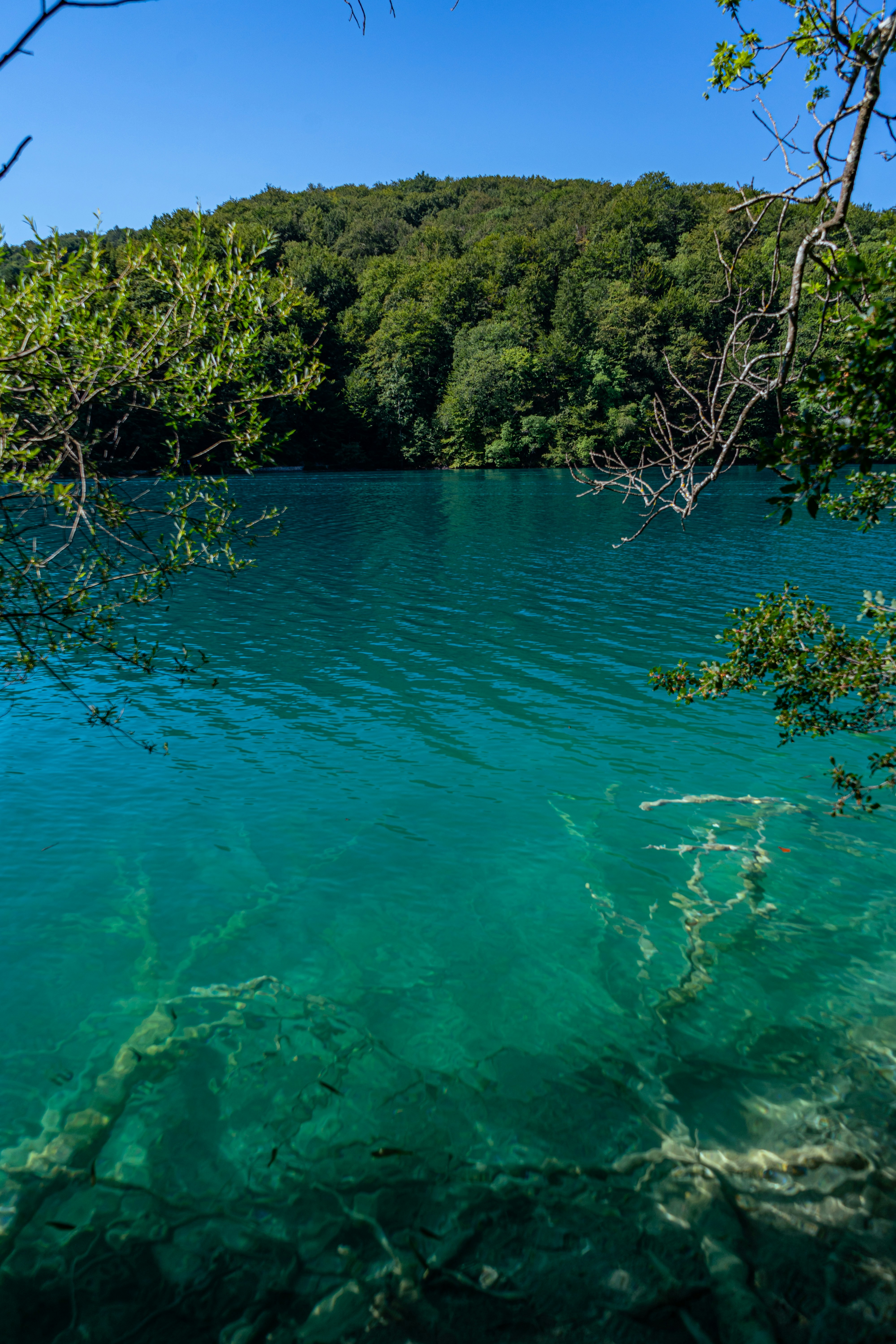 Photo by virussinside