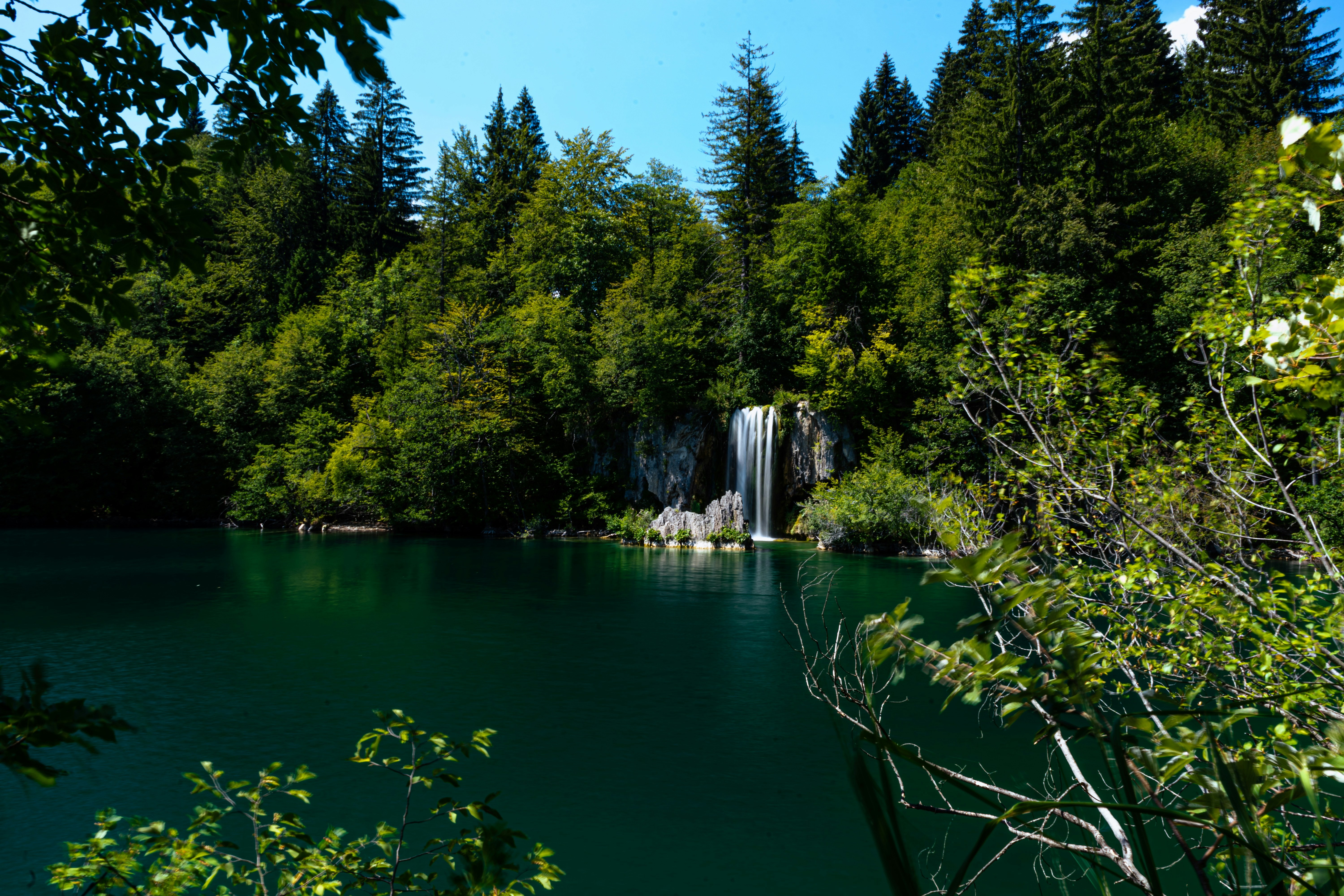 Photo by virussinside