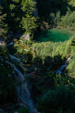A tranquil backyard pond with cascading waterfall surrounded by lush greenery.
