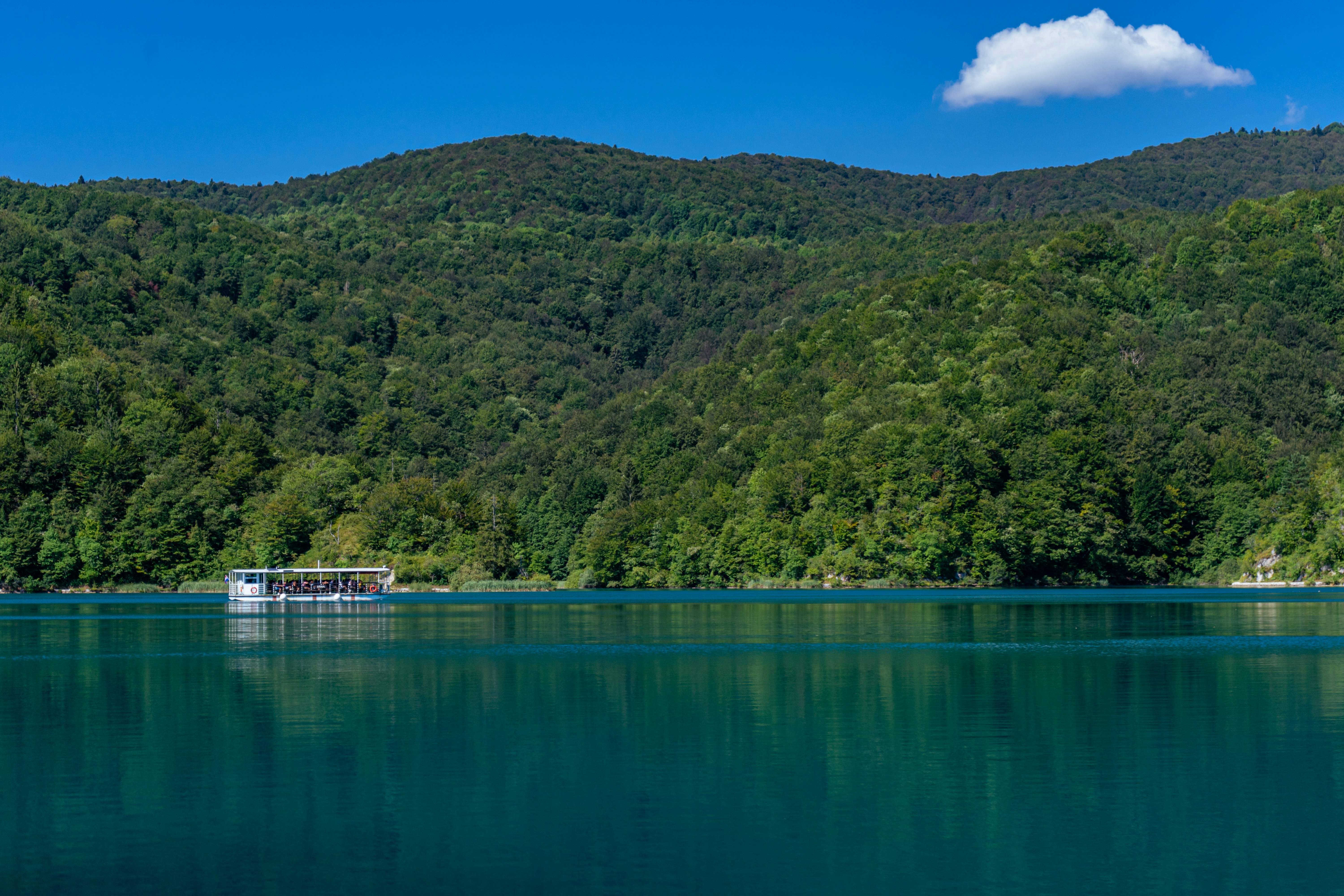 Photo by virussinside