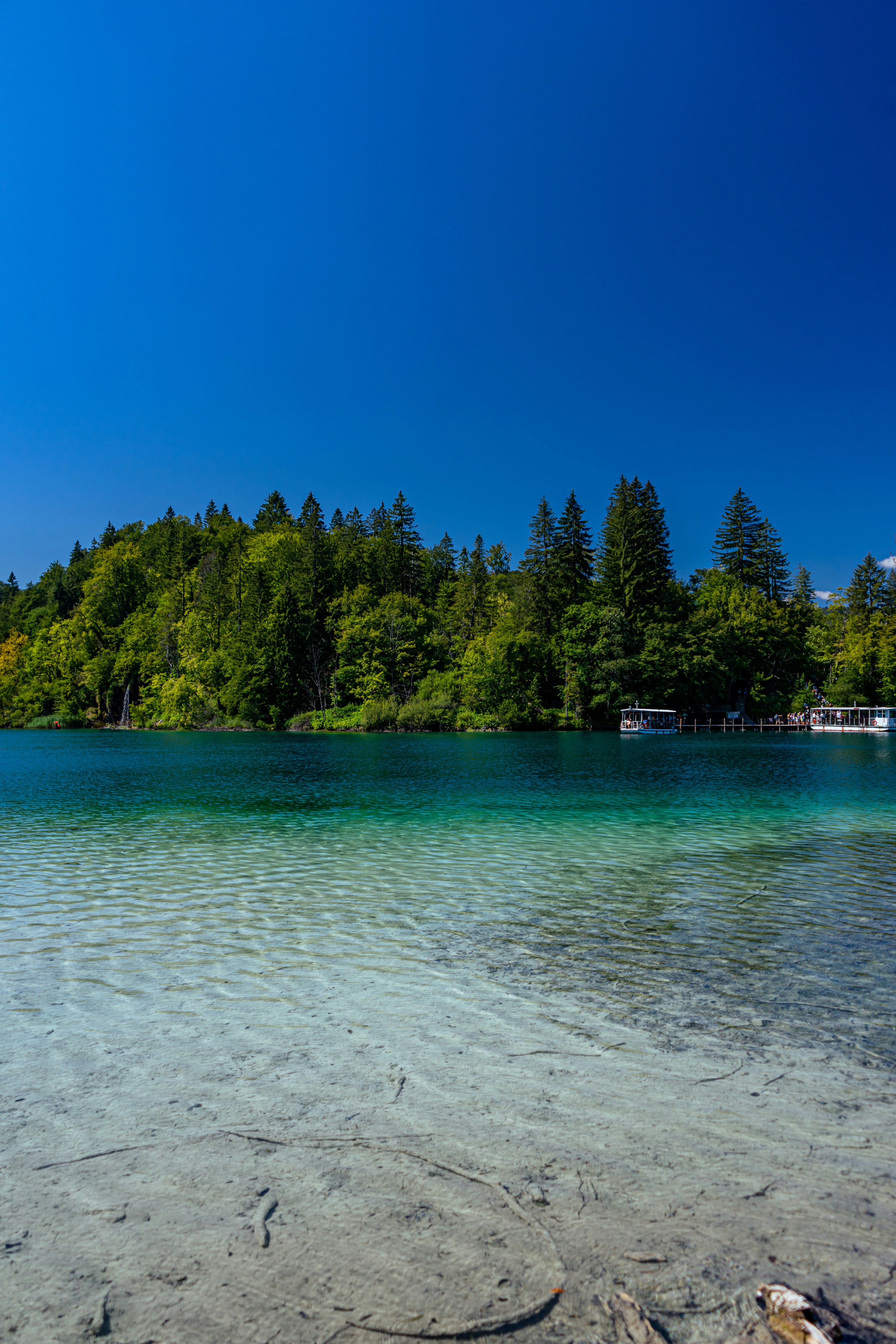 Photo by virussinside