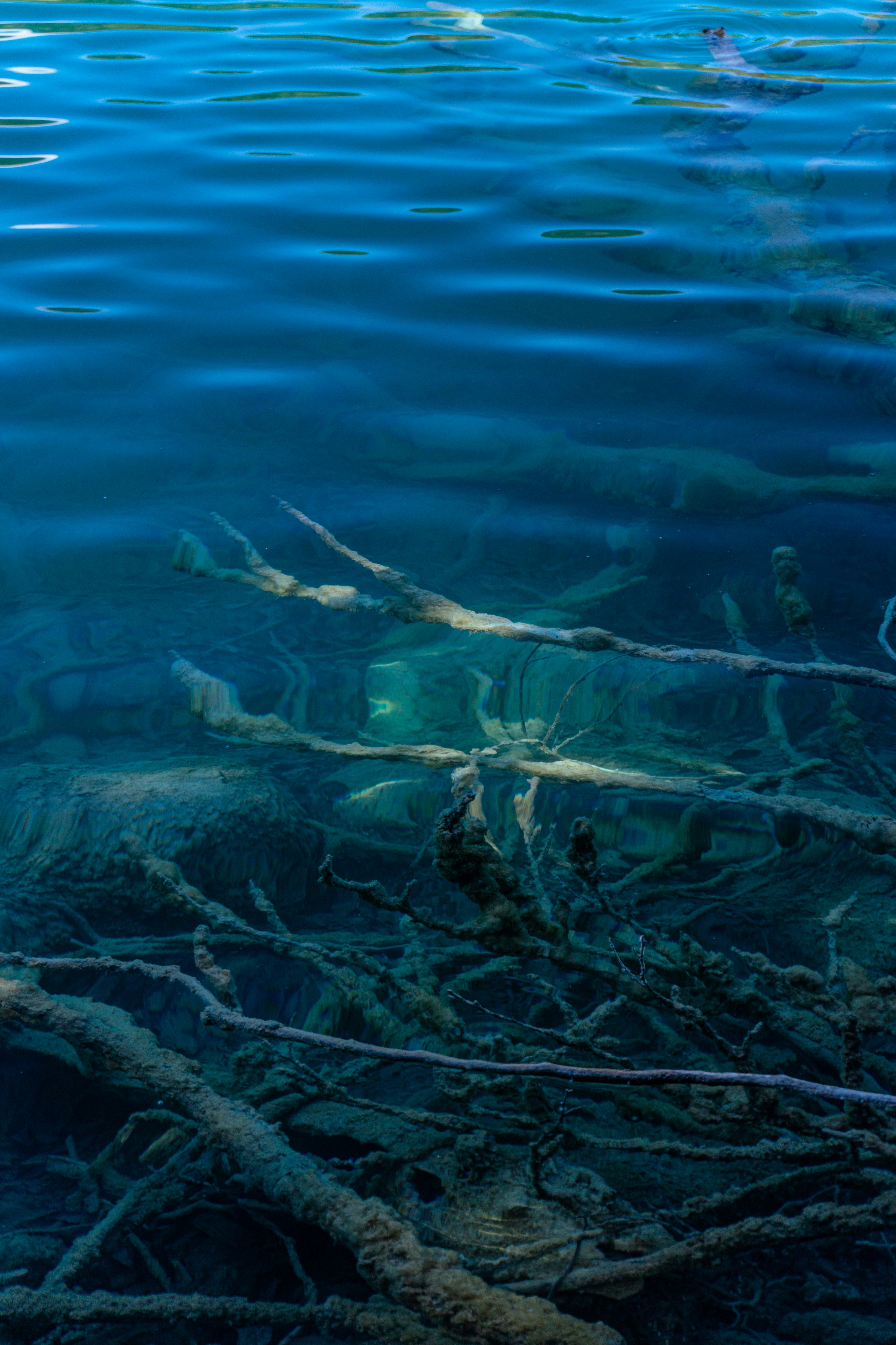 Photo by virussinside