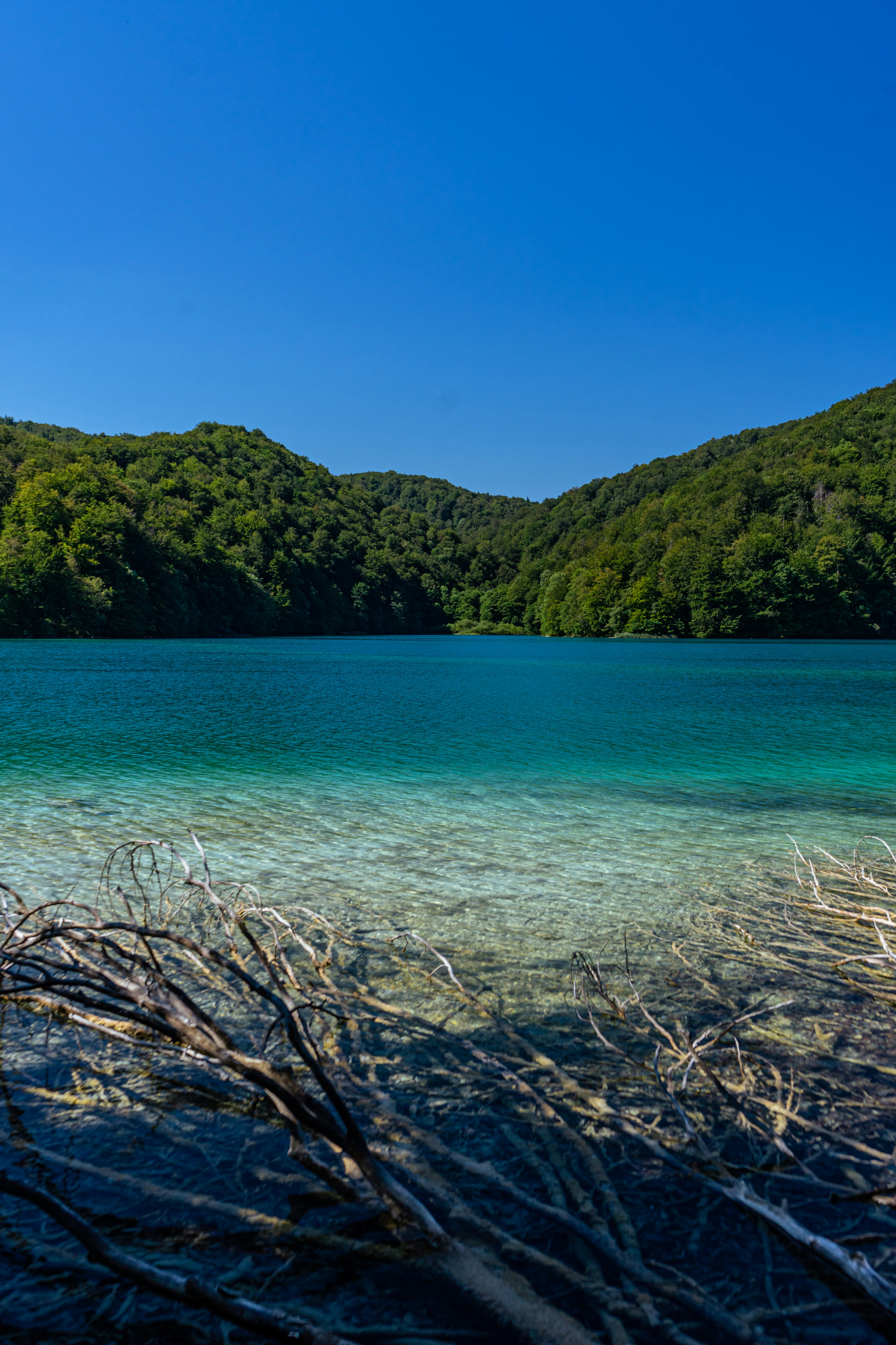 Photo by virussinside