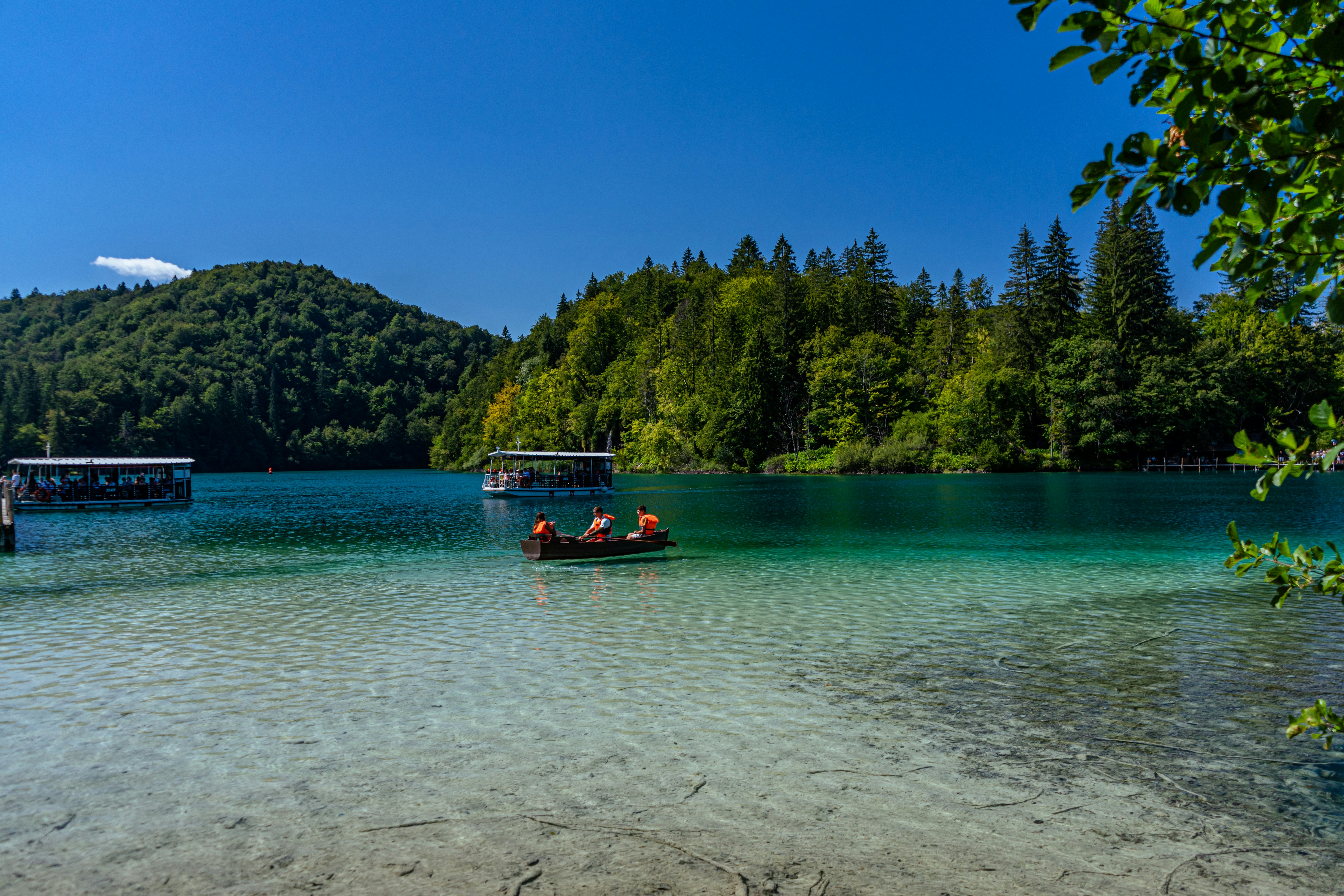 Photo by virussinside