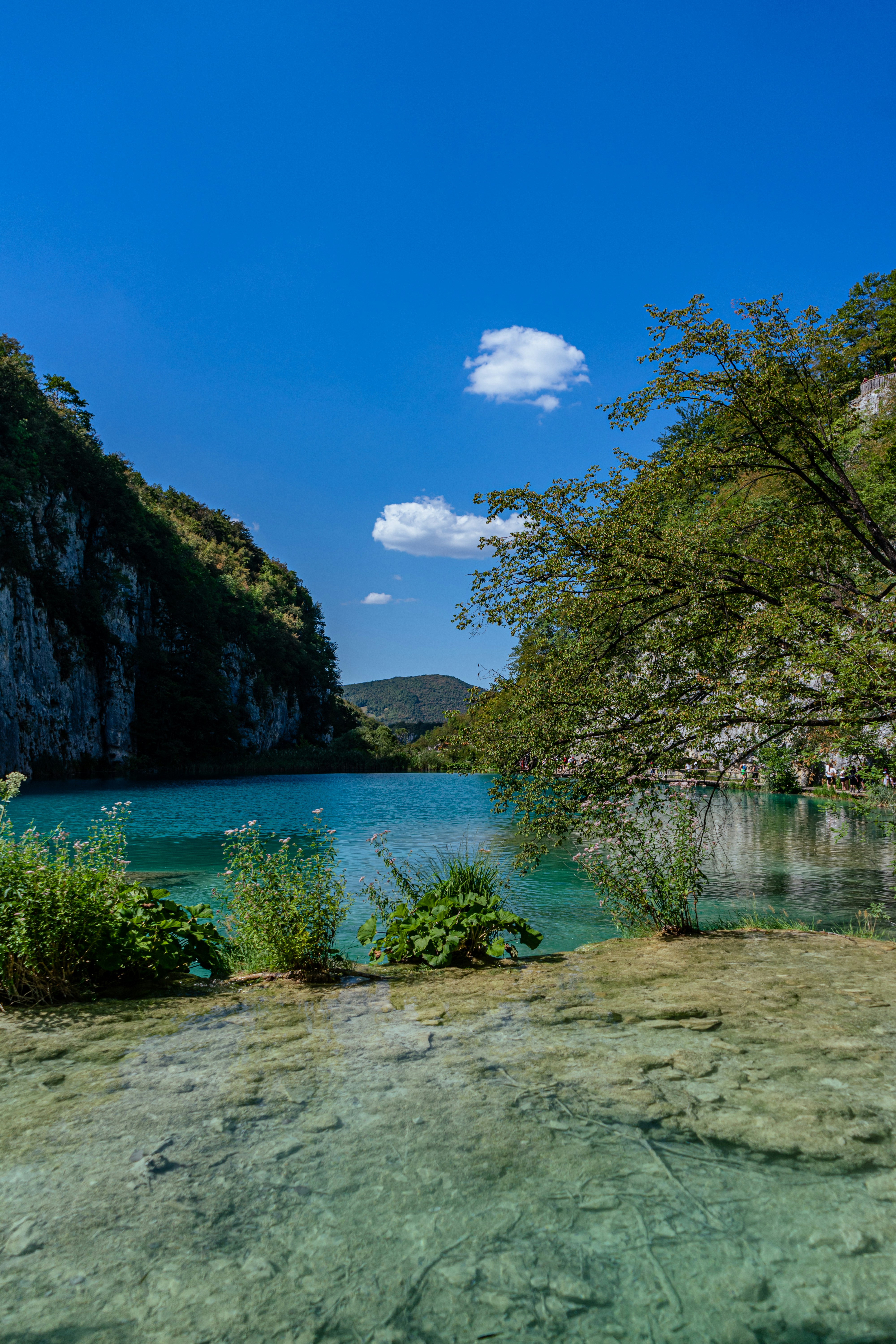 Photo by virussinside