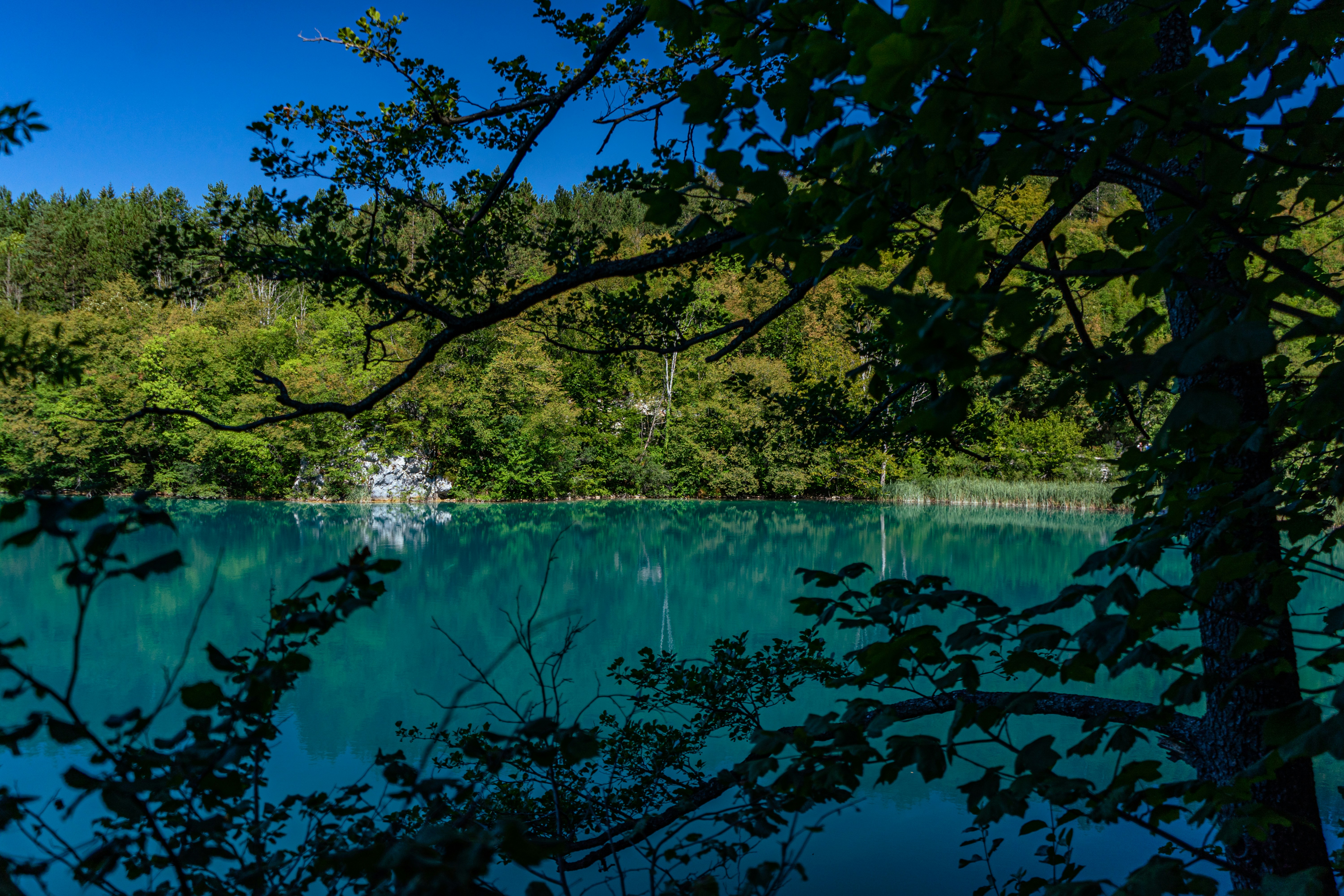 Photo by virussinside