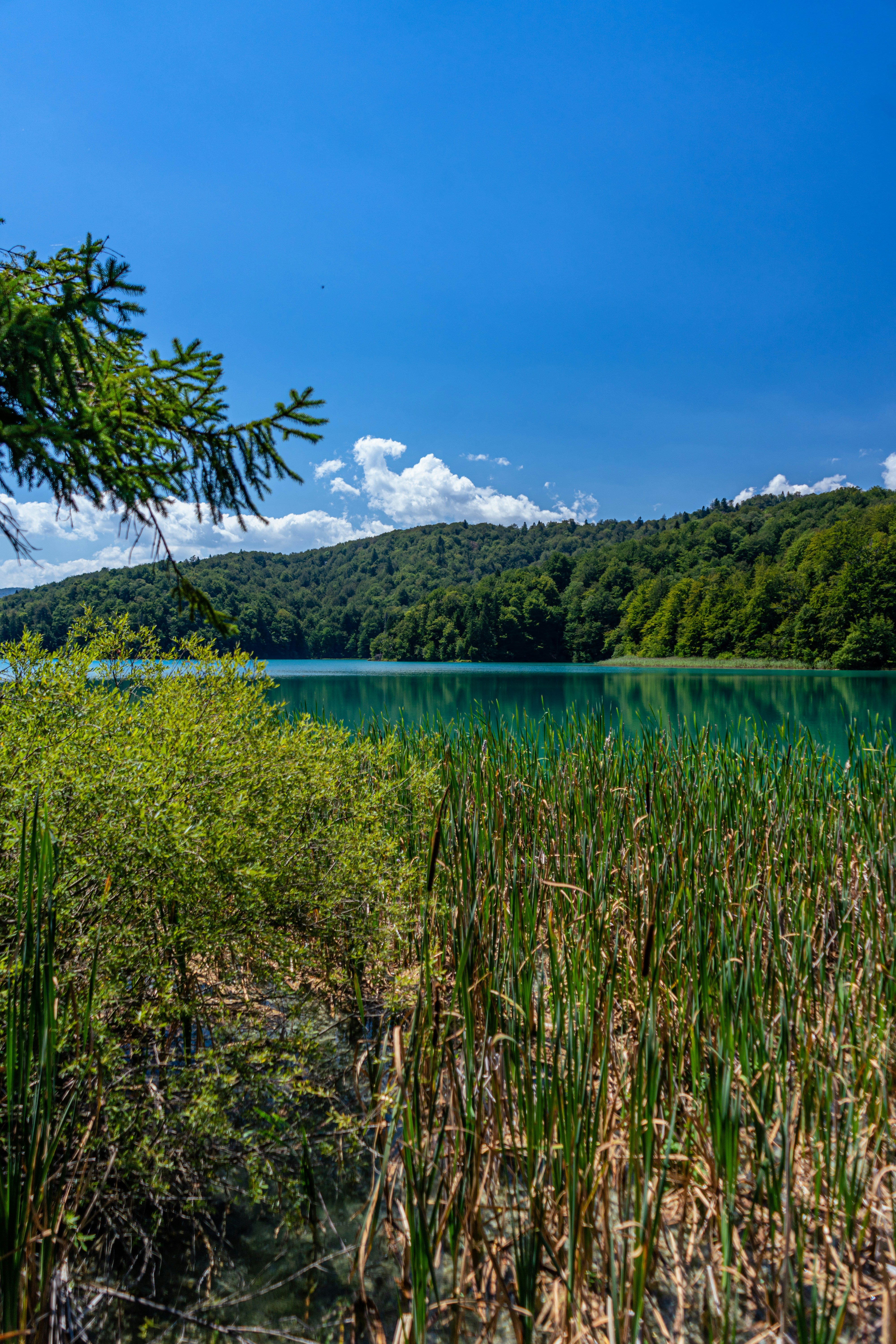 Photo by virussinside