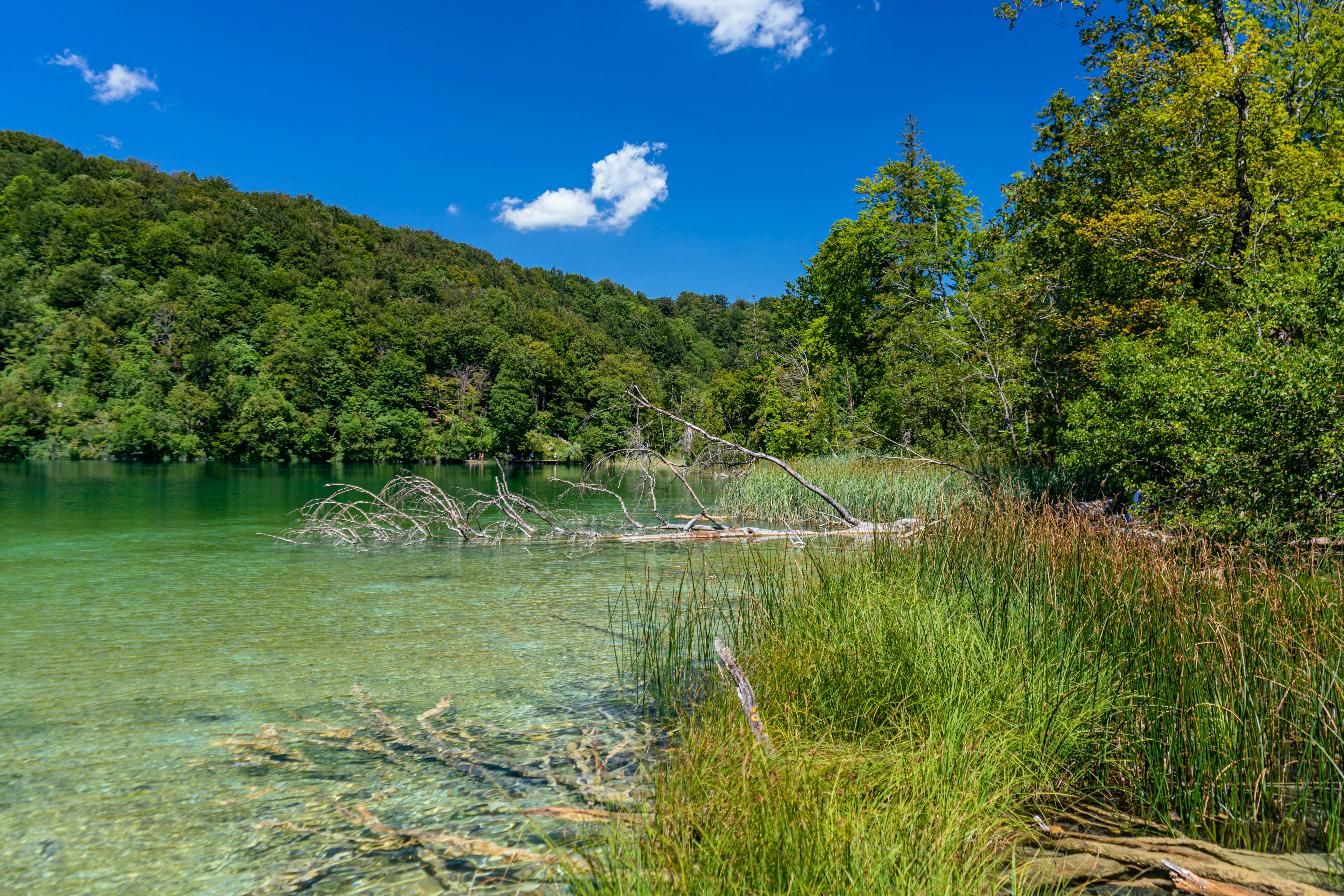 Photo by virussinside