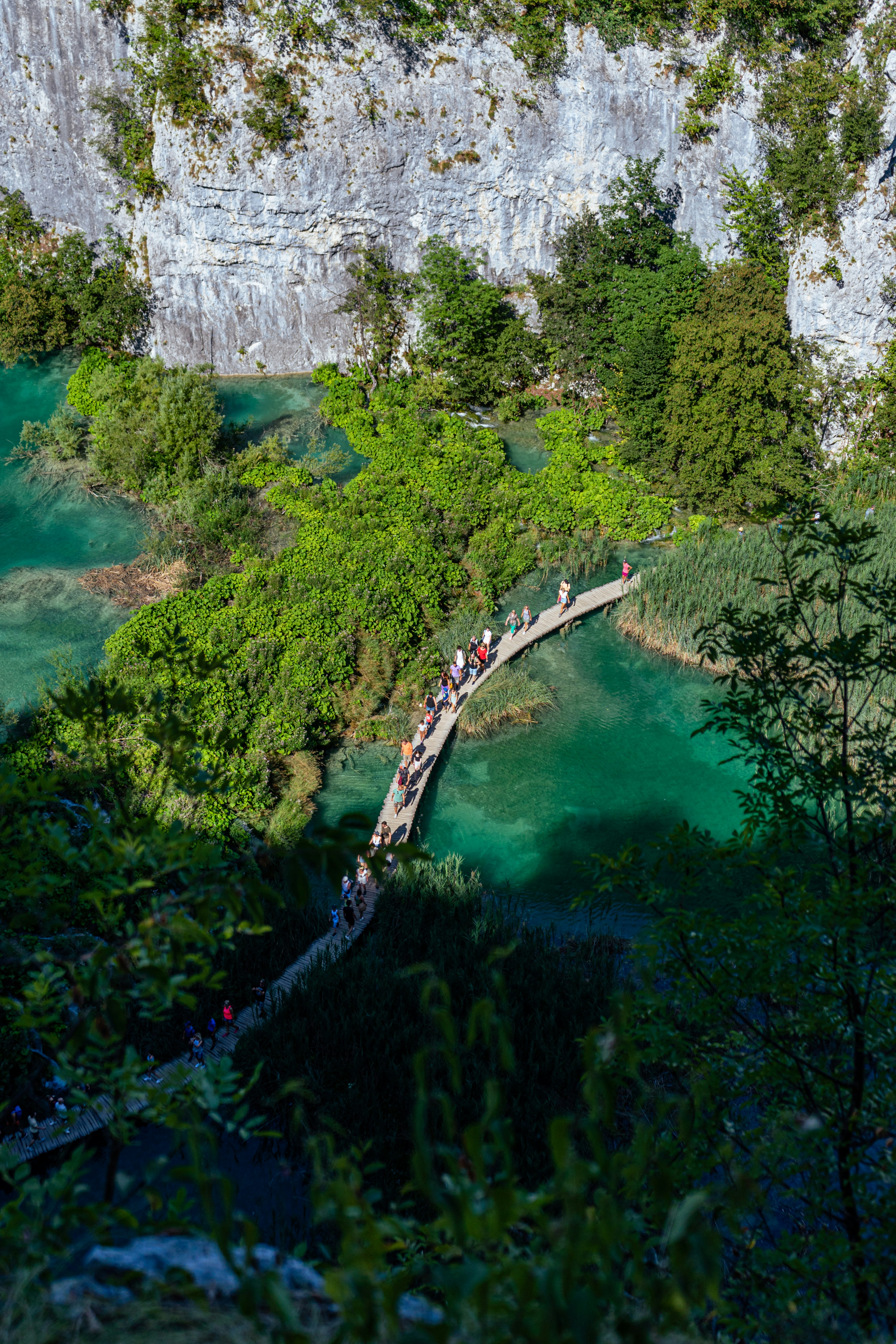 Photo by virussinside