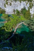 A scenic view featuring a wooden pathway meandering through vibrant green foliage and turquoise waters, set against a backdrop of rocky cliffs. People are walking along the path, enjoying the natural beauty.