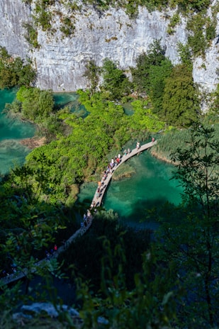 Visitors enjoying a scenic walking trail surrounded by tropical trees and colorful flowers.