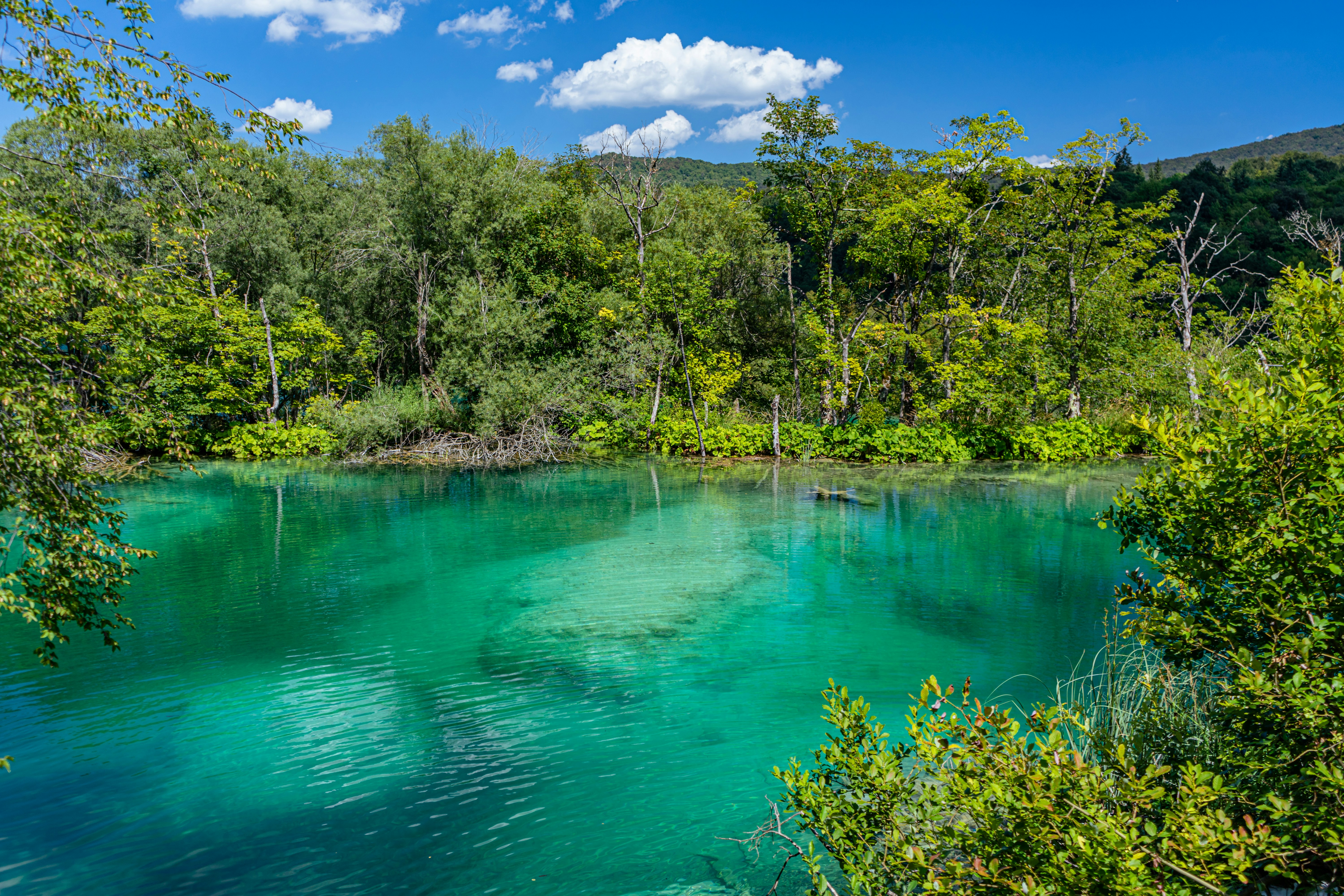 Photo by virussinside