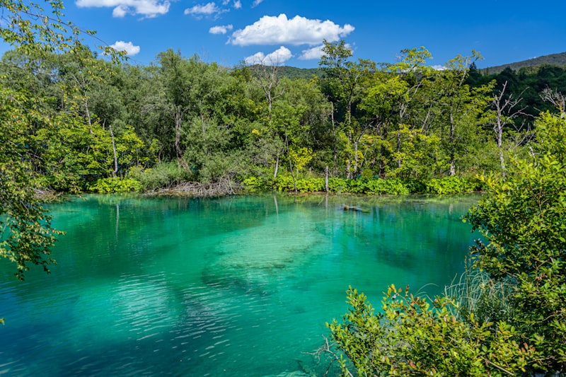 Lago turquesa en Plitvice en Croacia