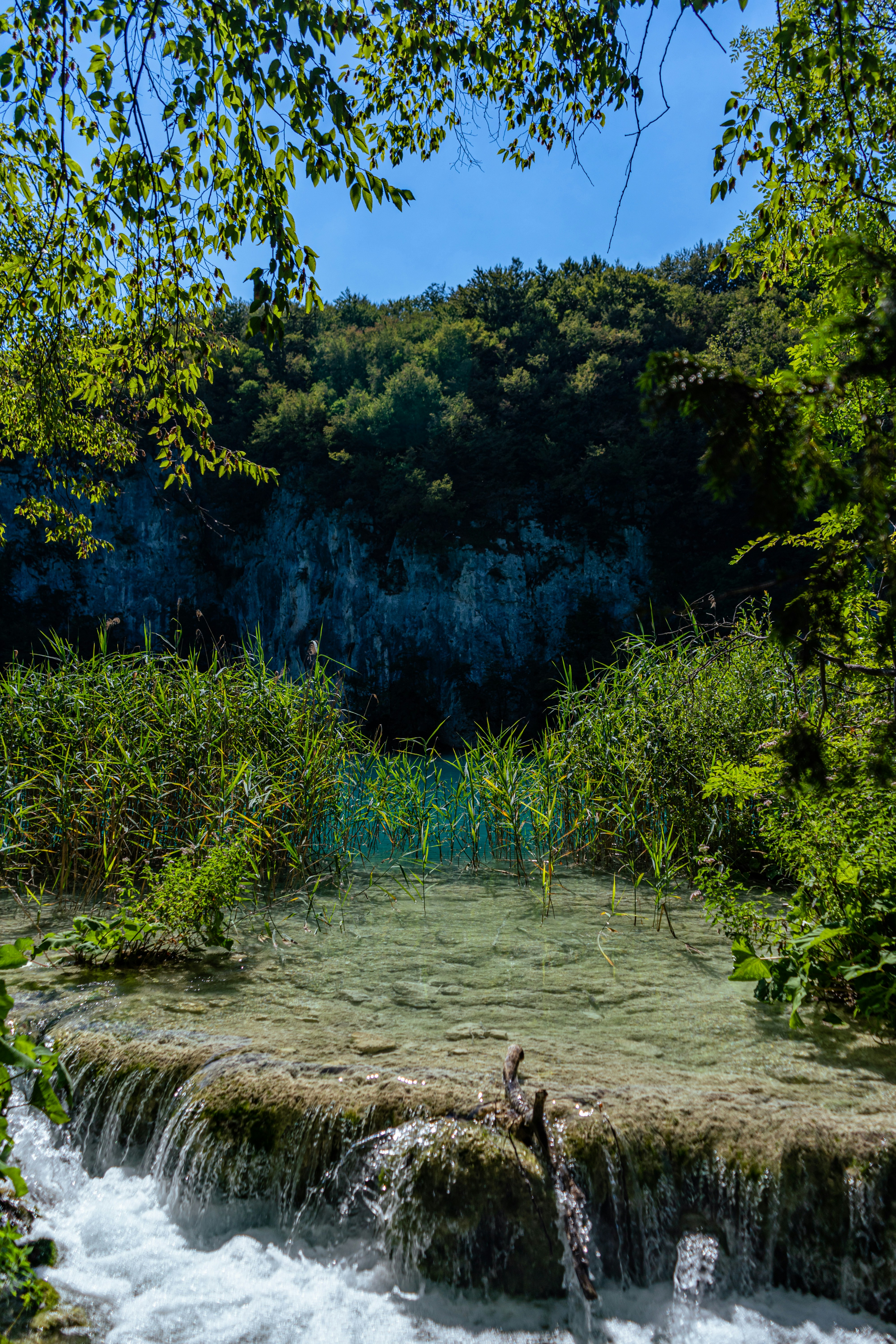 Photo by virussinside