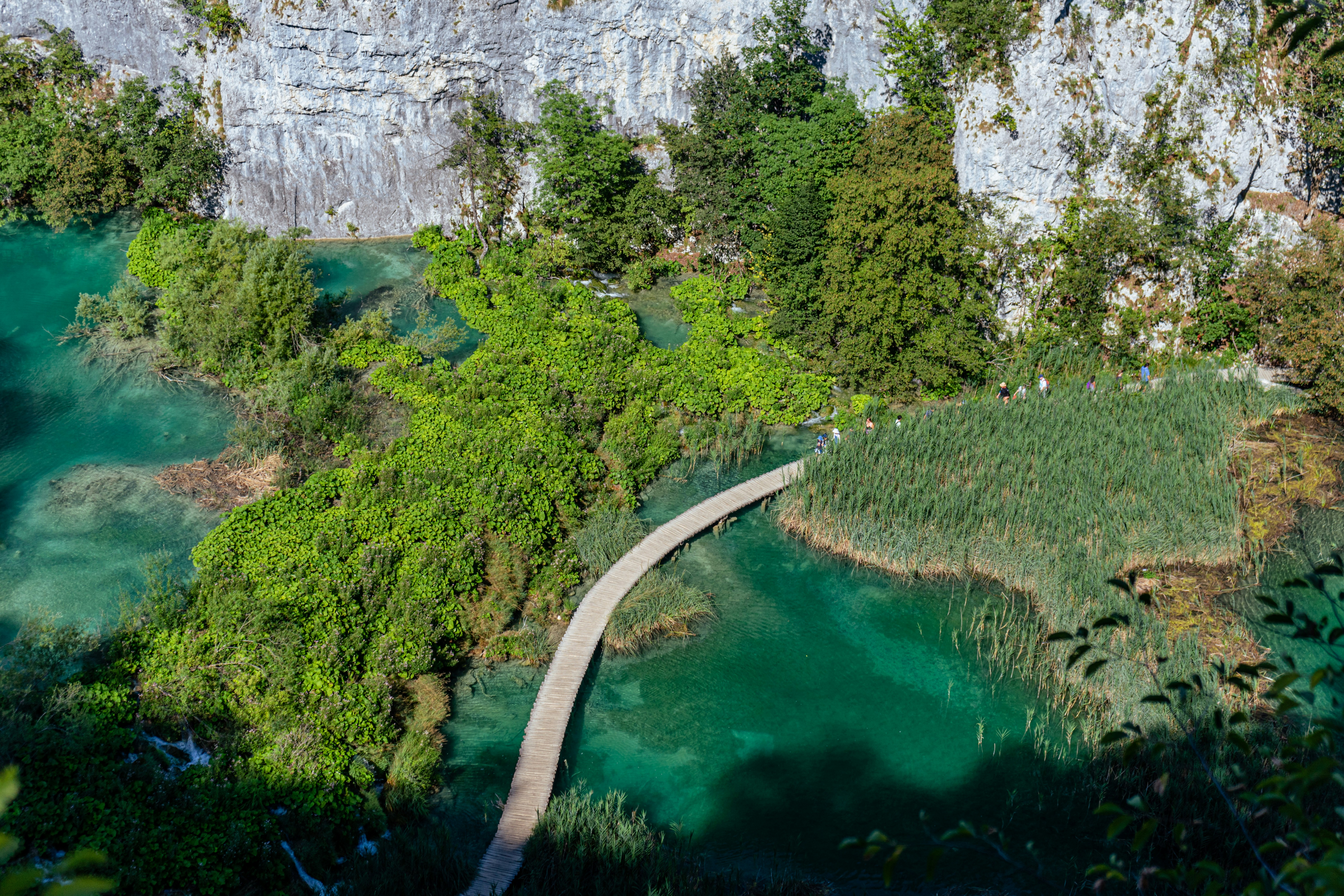 Photo by virussinside