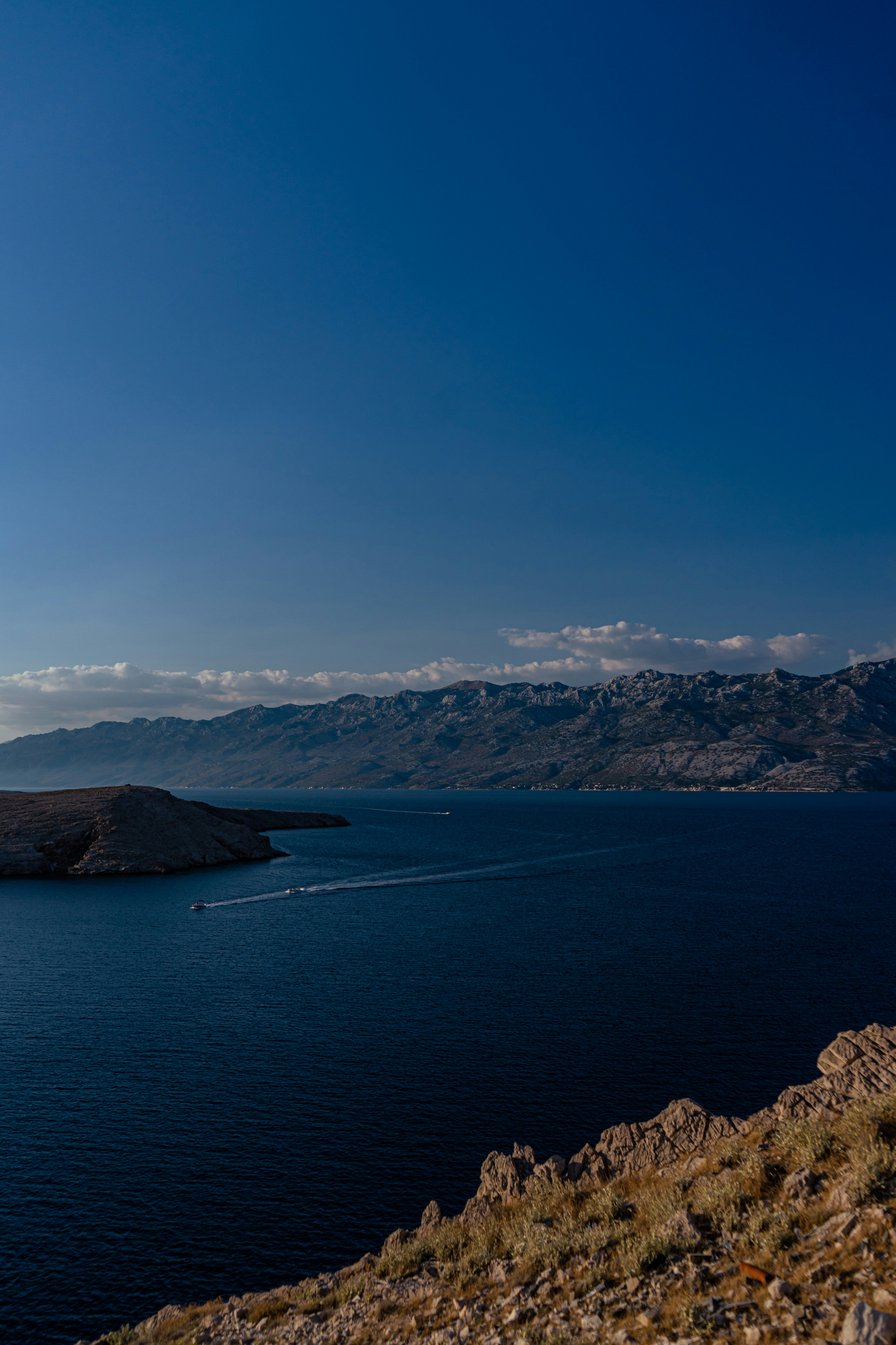 Photo by virussinside