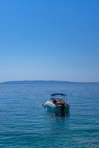 A mobile boat mechanic working on a jetski engine beside a calm river under a bright blue sky.