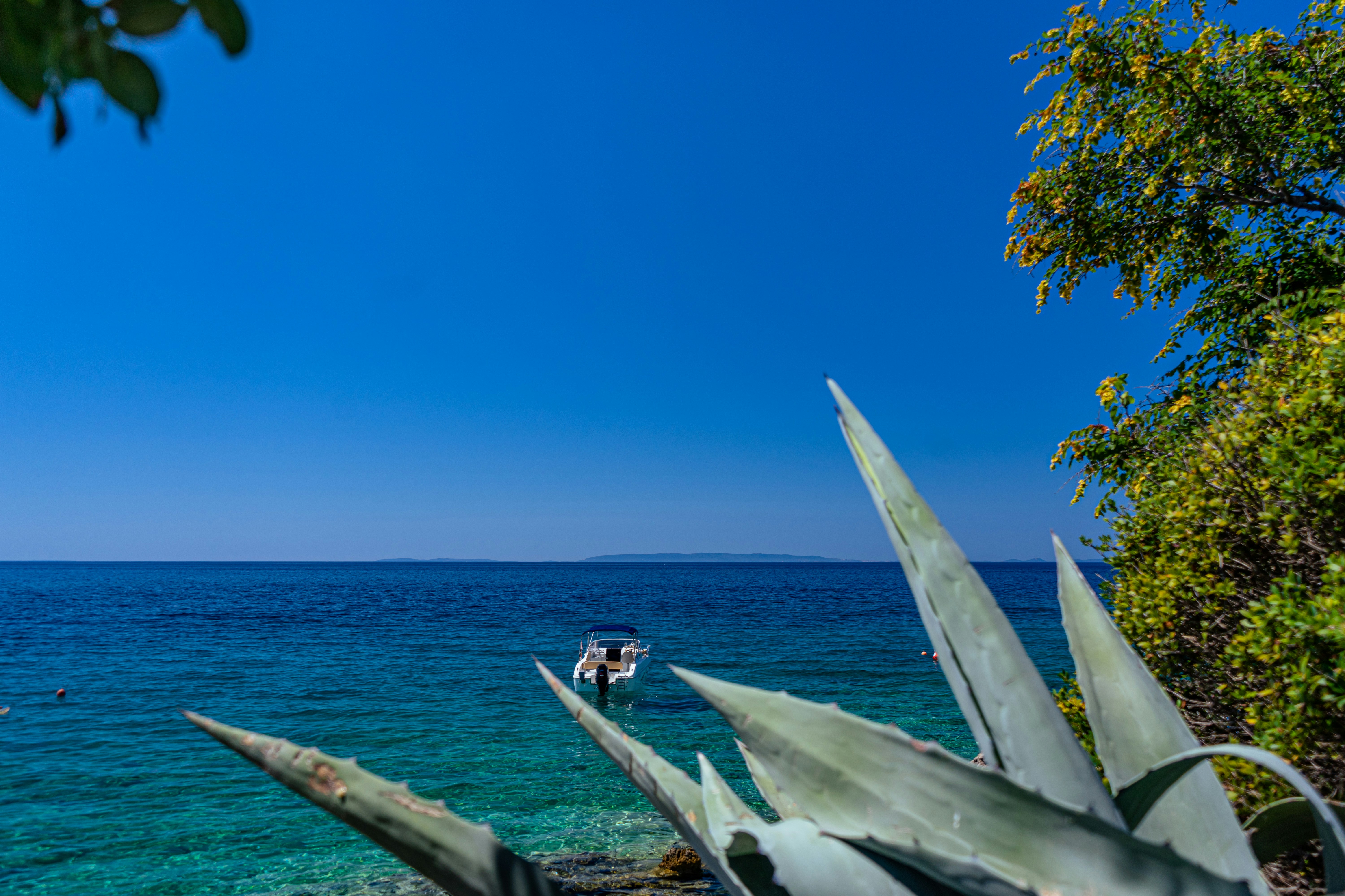 Photo by virussinside