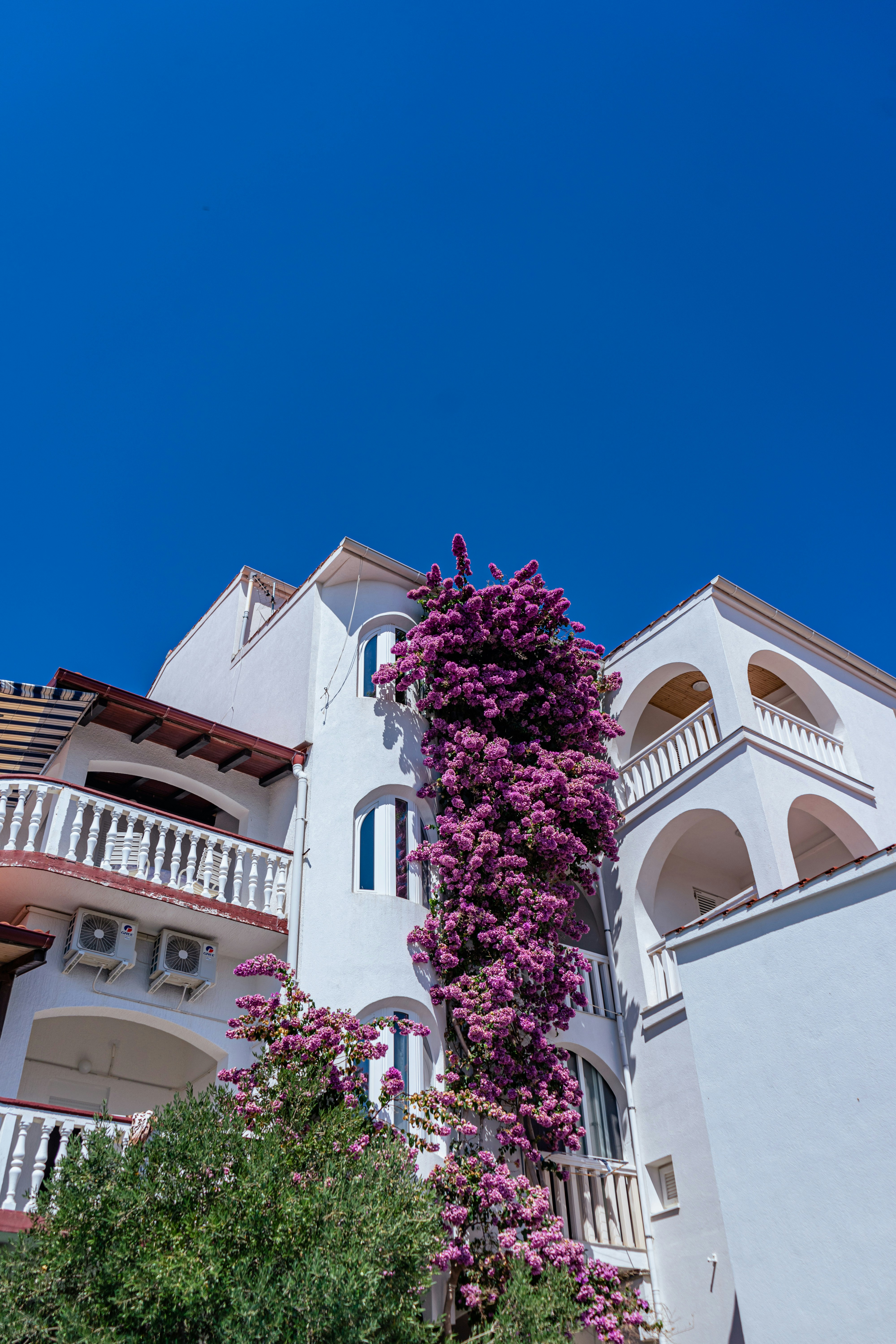 Photo by virussinside