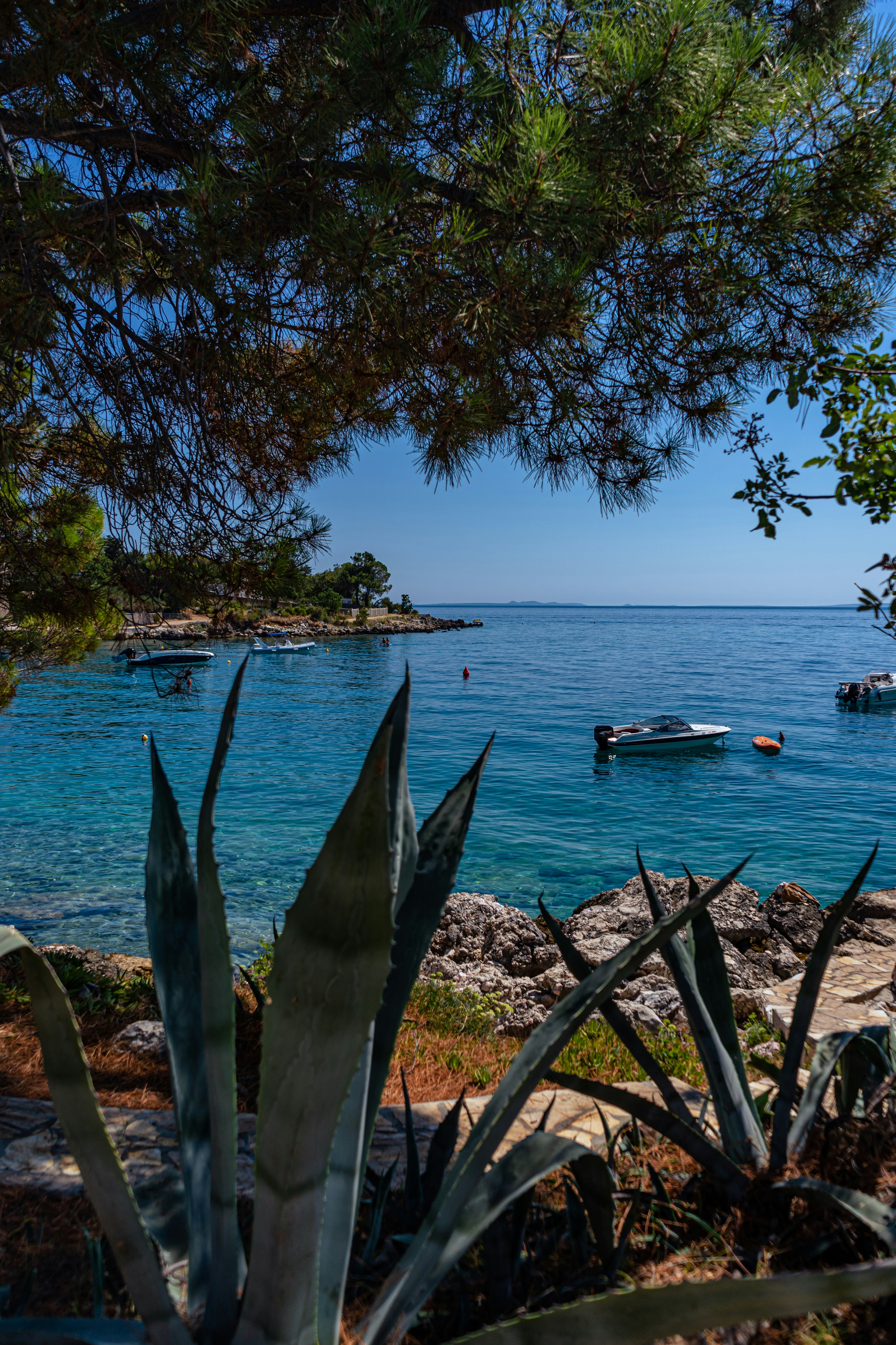 Photo by virussinside