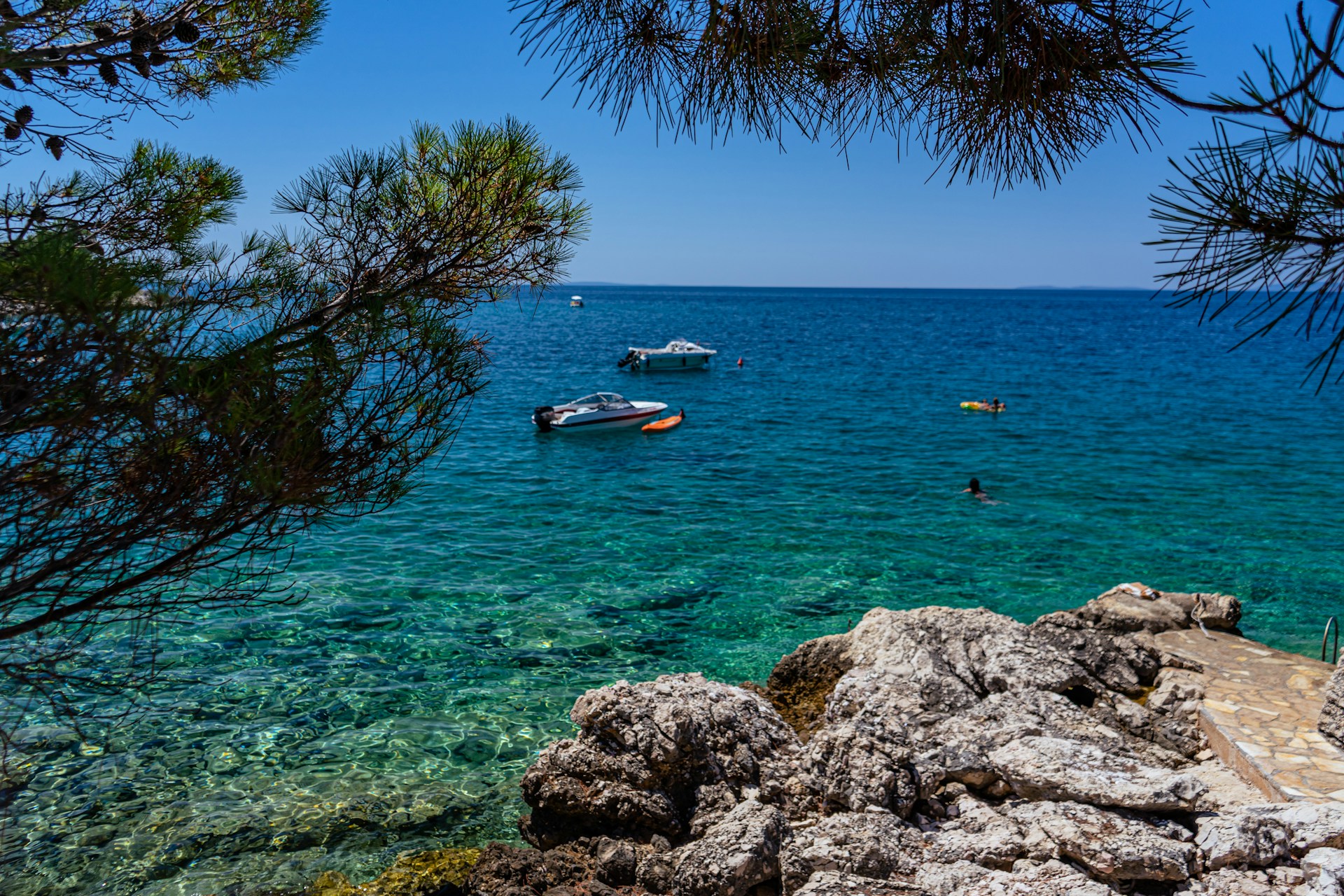 a body of water surrounded by trees and rocks