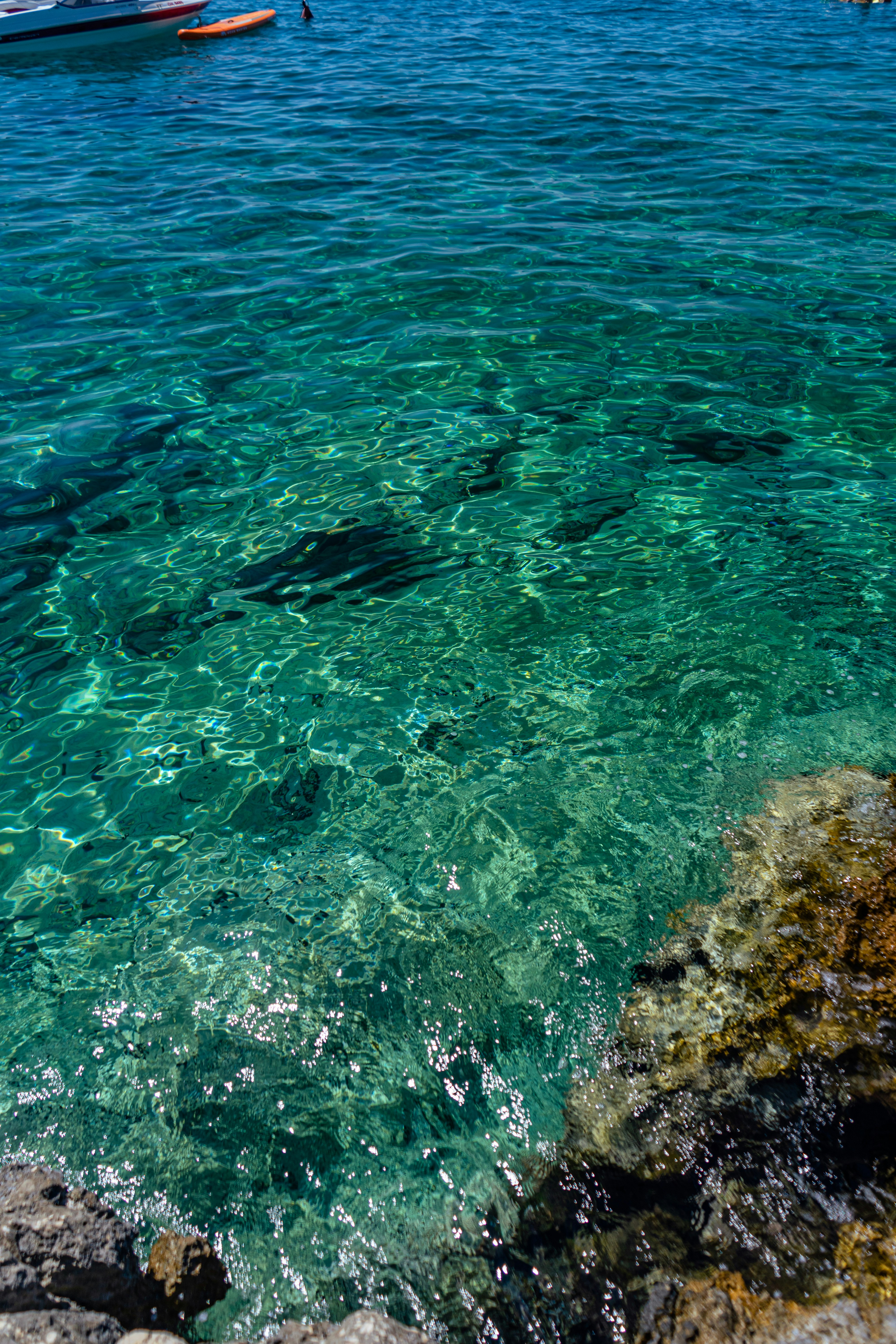 Photo by virussinside