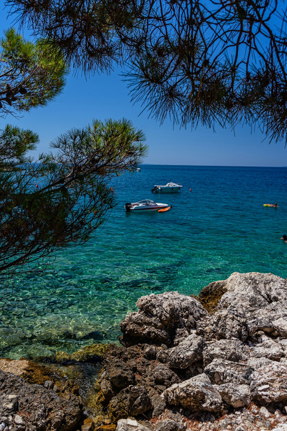 a body of water surrounded by rocks and trees