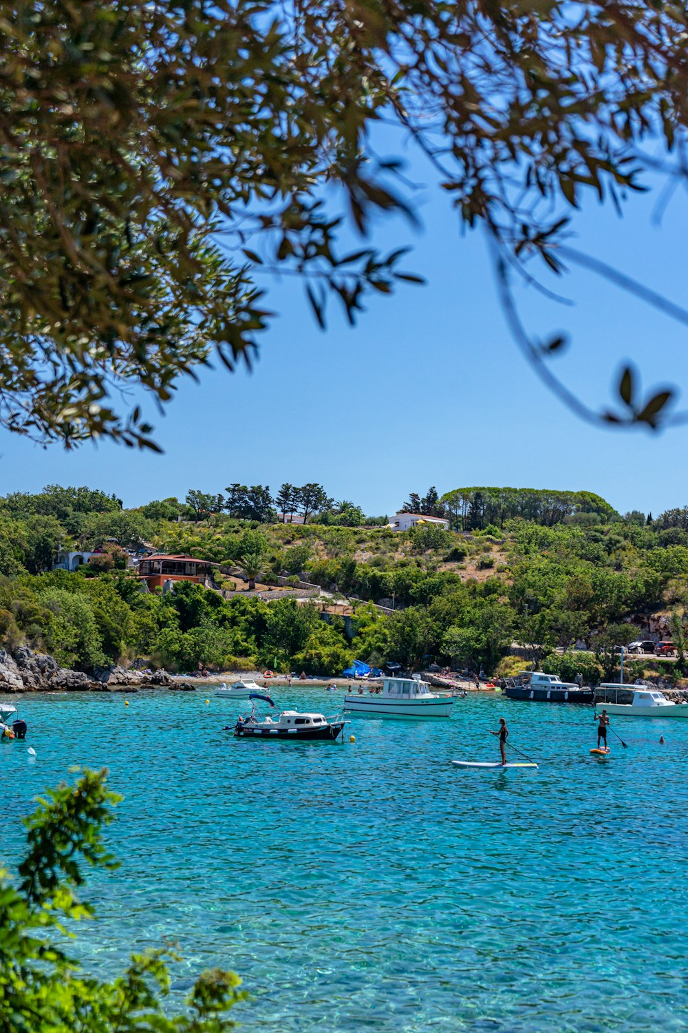 a group of boats floating on top of a body of water