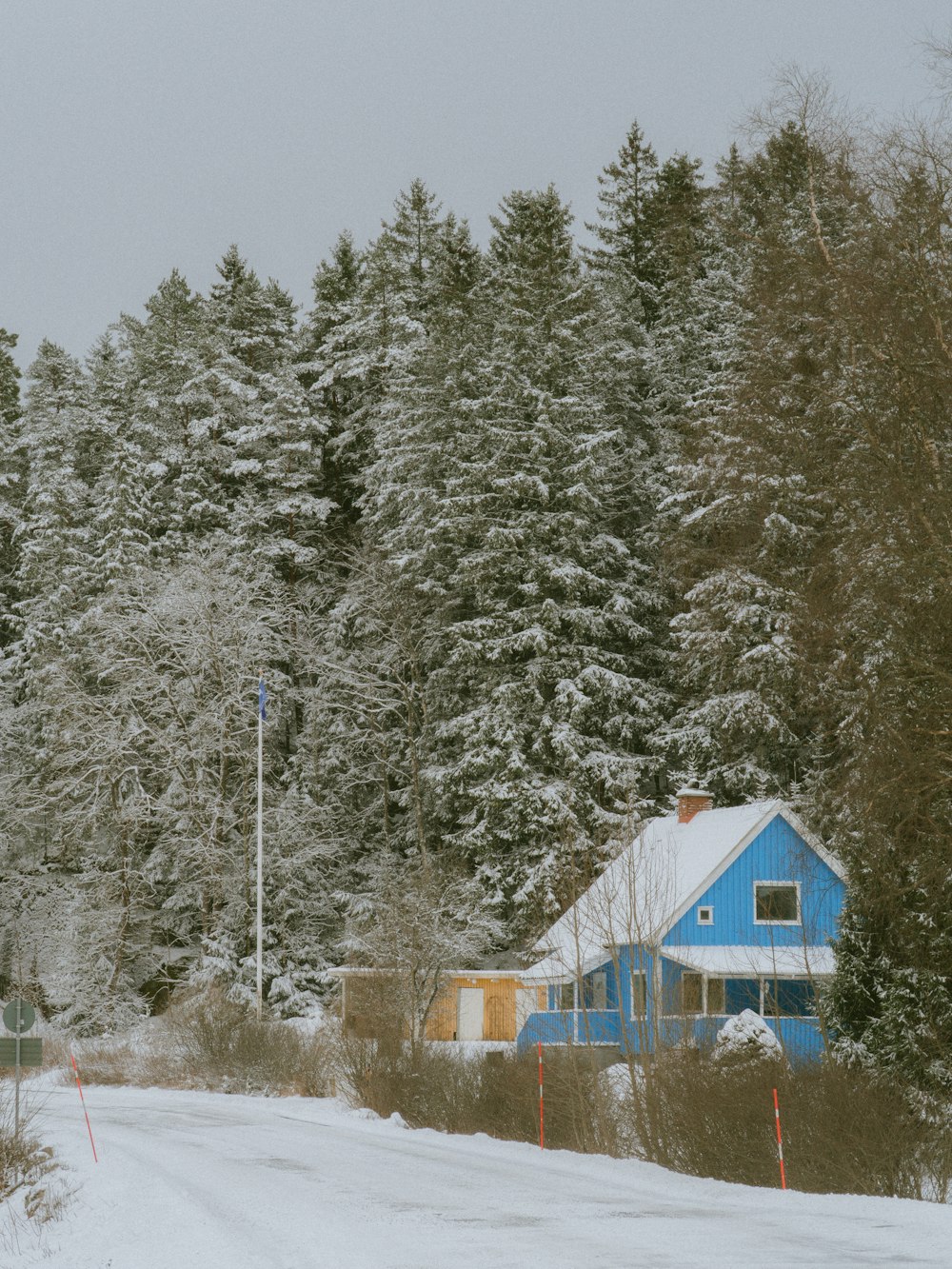 a blue house in the middle of a snowy forest