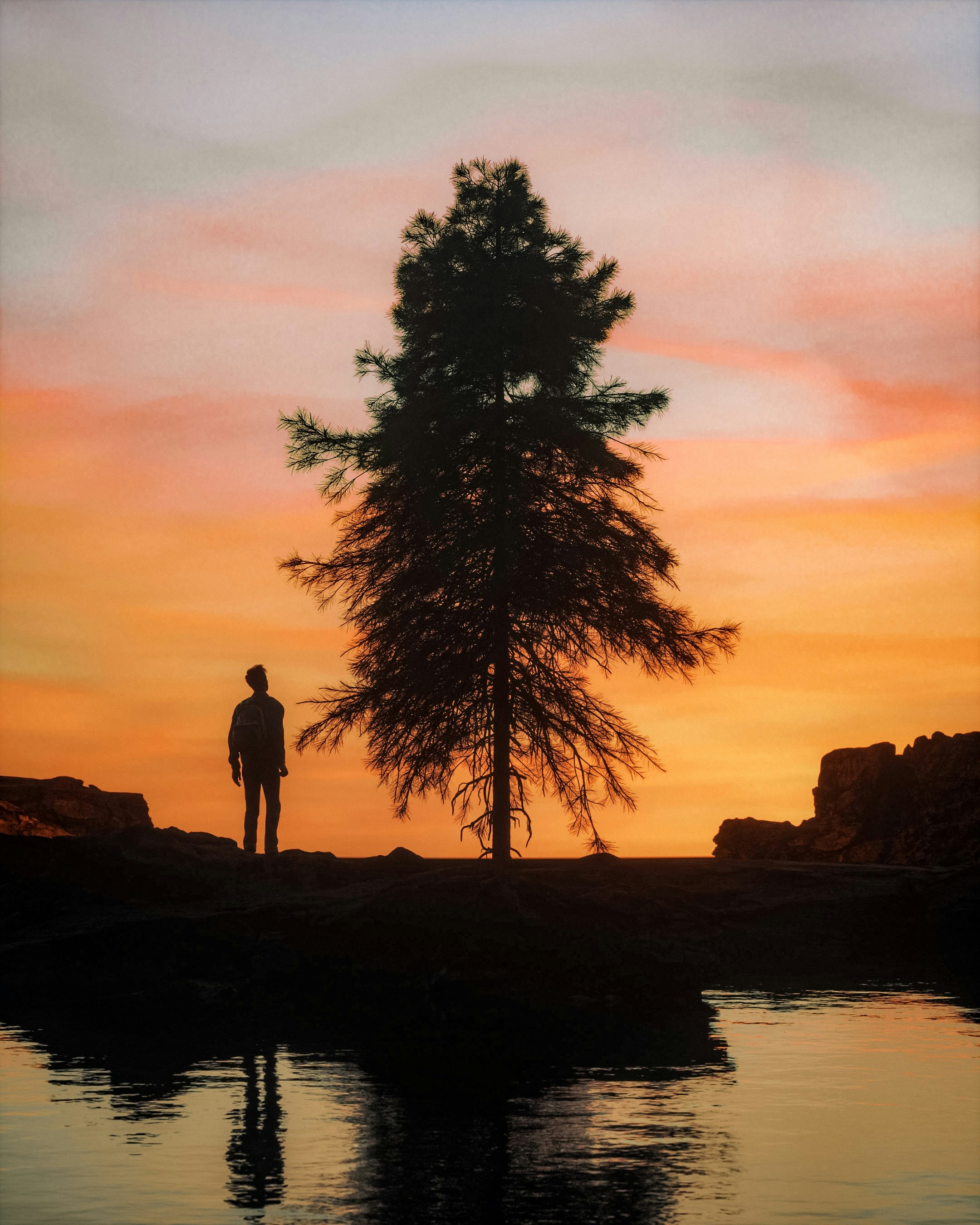 A man standing next to a tree at sunset photo – Free Wallpaper Image on ...