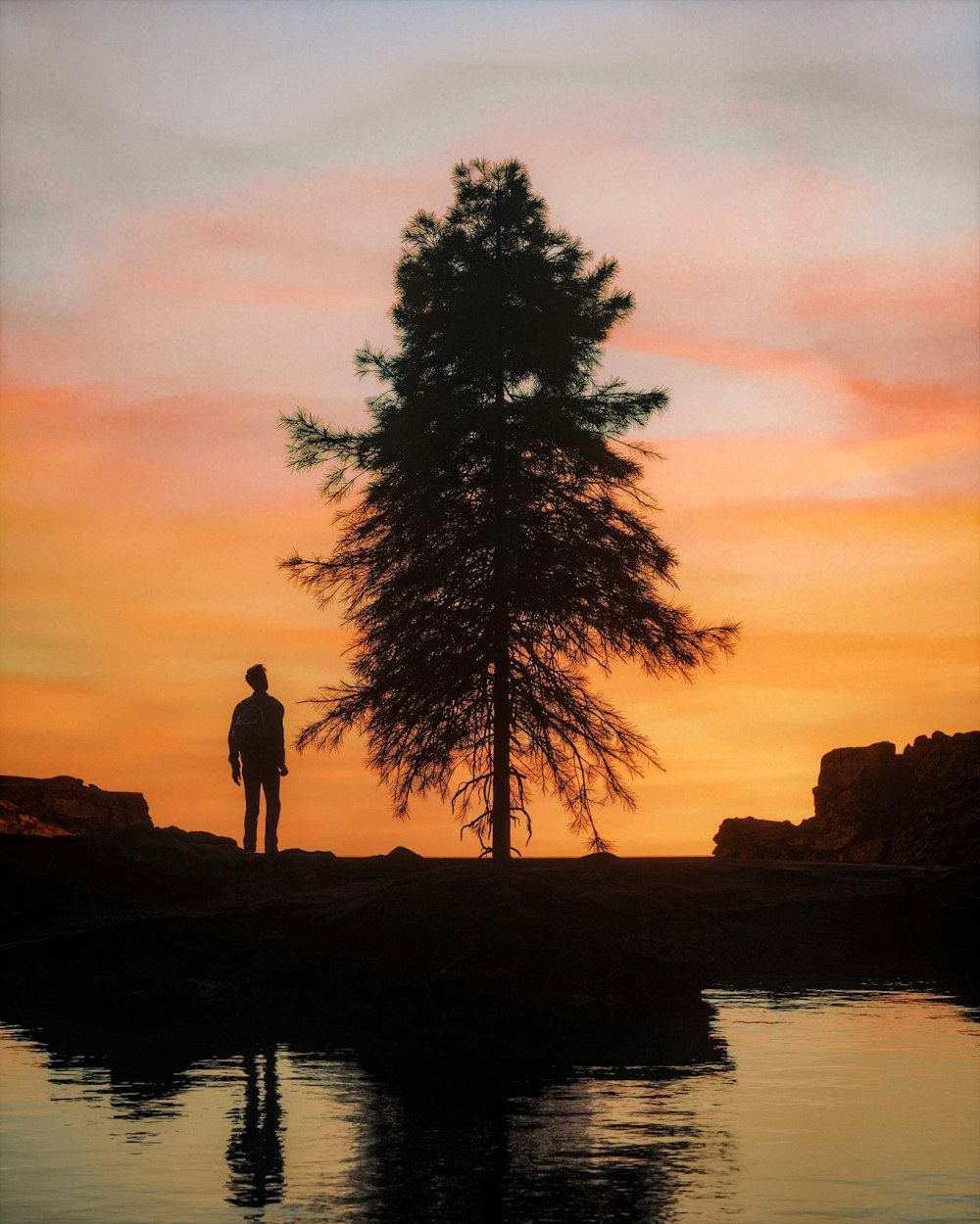 a man standing next to a tree at sunset