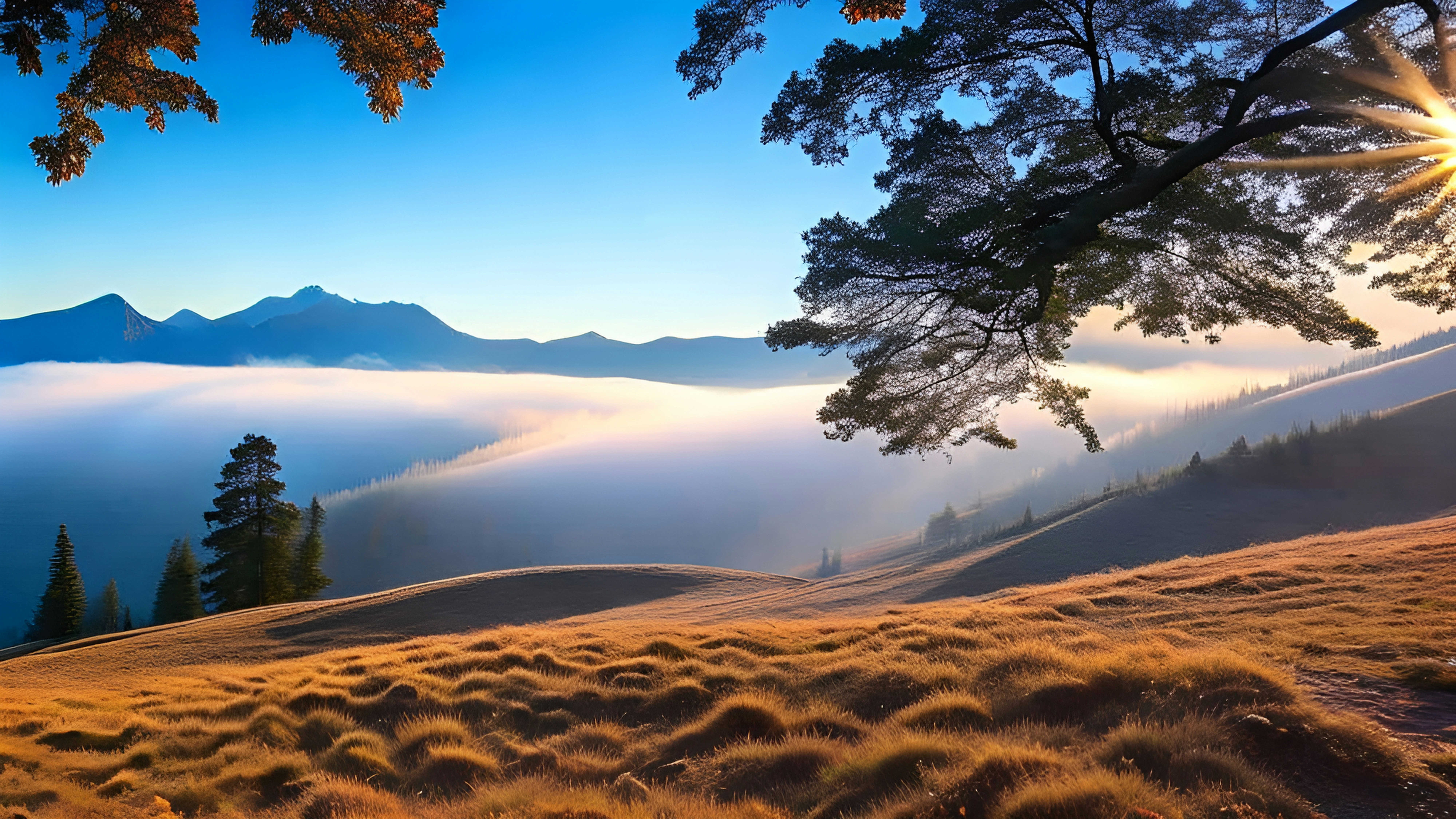 Photo by infinity_images_plus