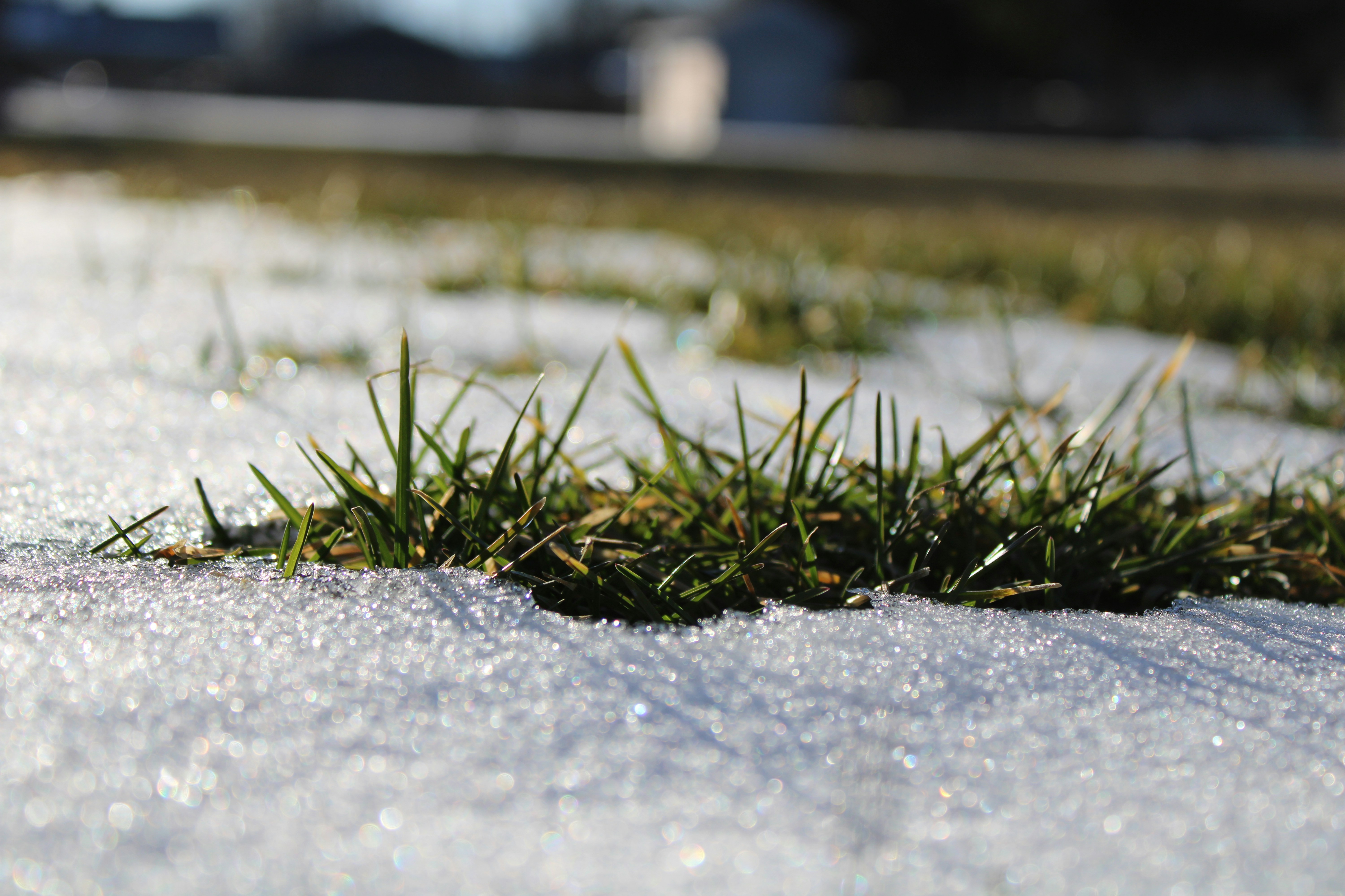 Photo by corinn_suess10