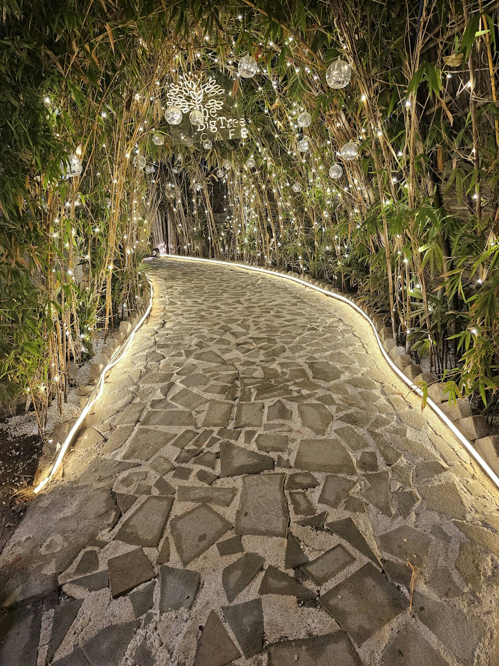 a stone path with trees and lights in the background