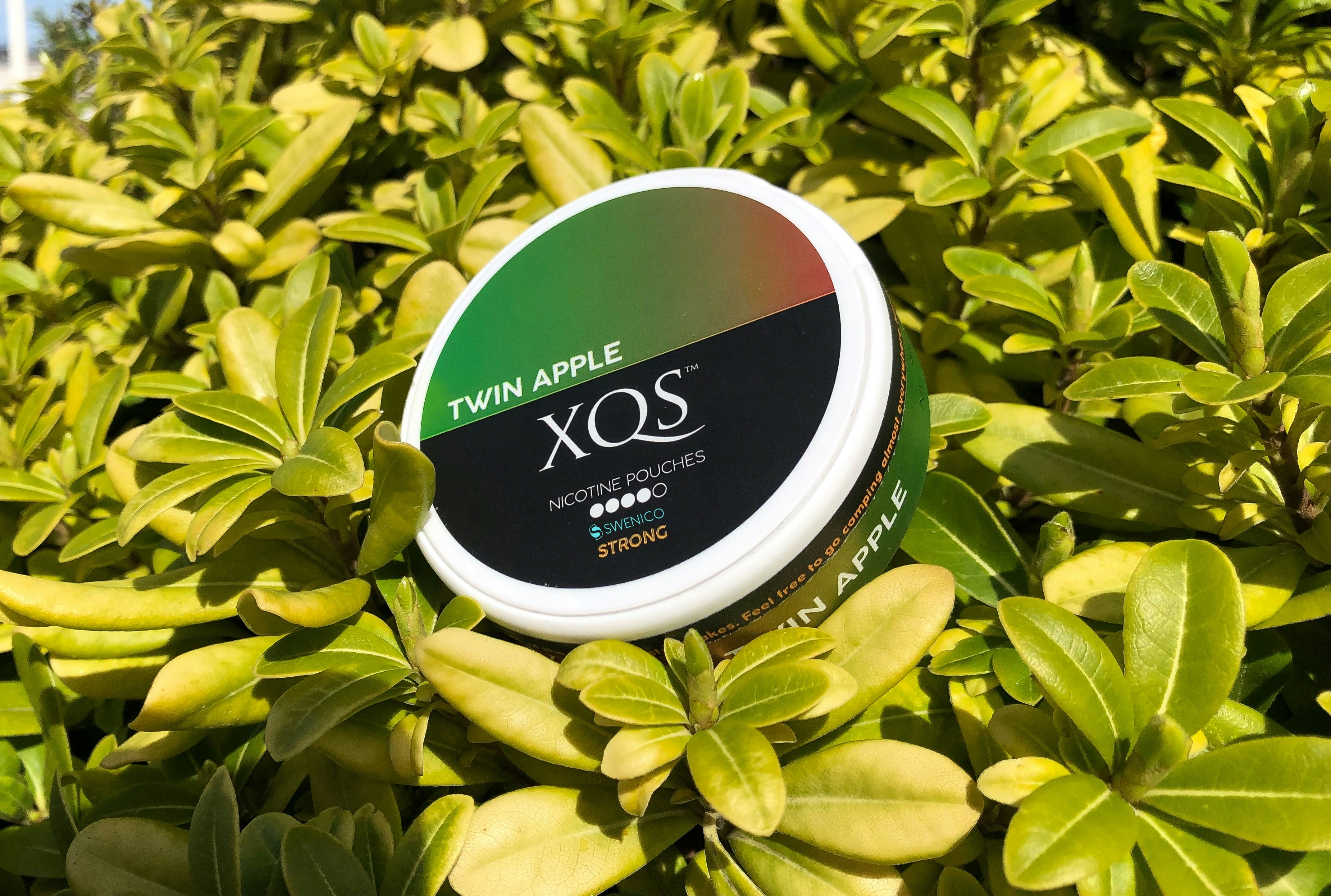 Are Nicotine Pouches the Safer Alternative? What You Need to Know