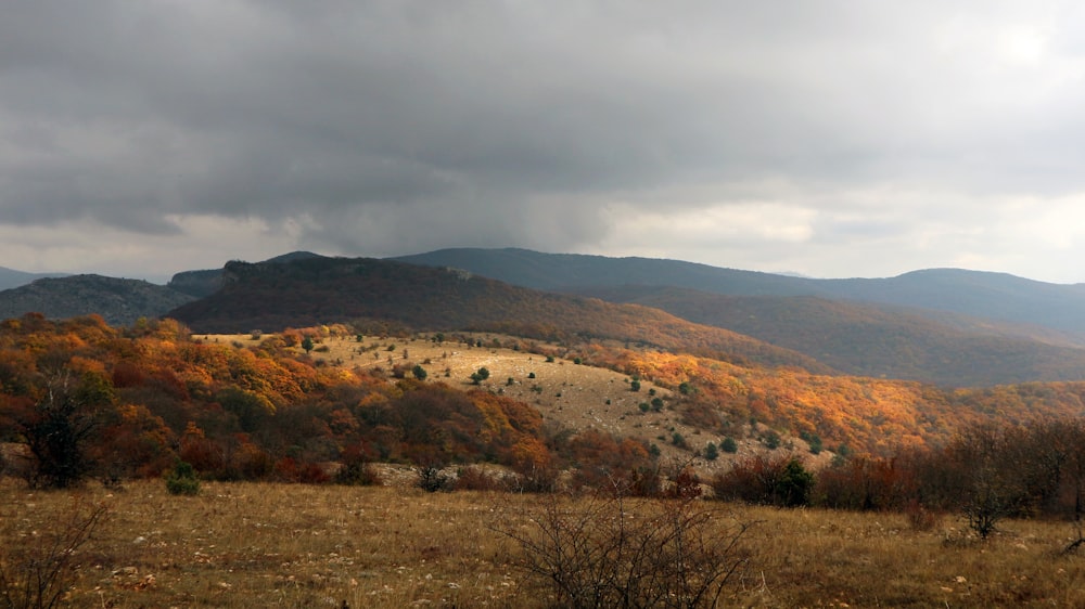 a view of a mountain range with trees in the foreground