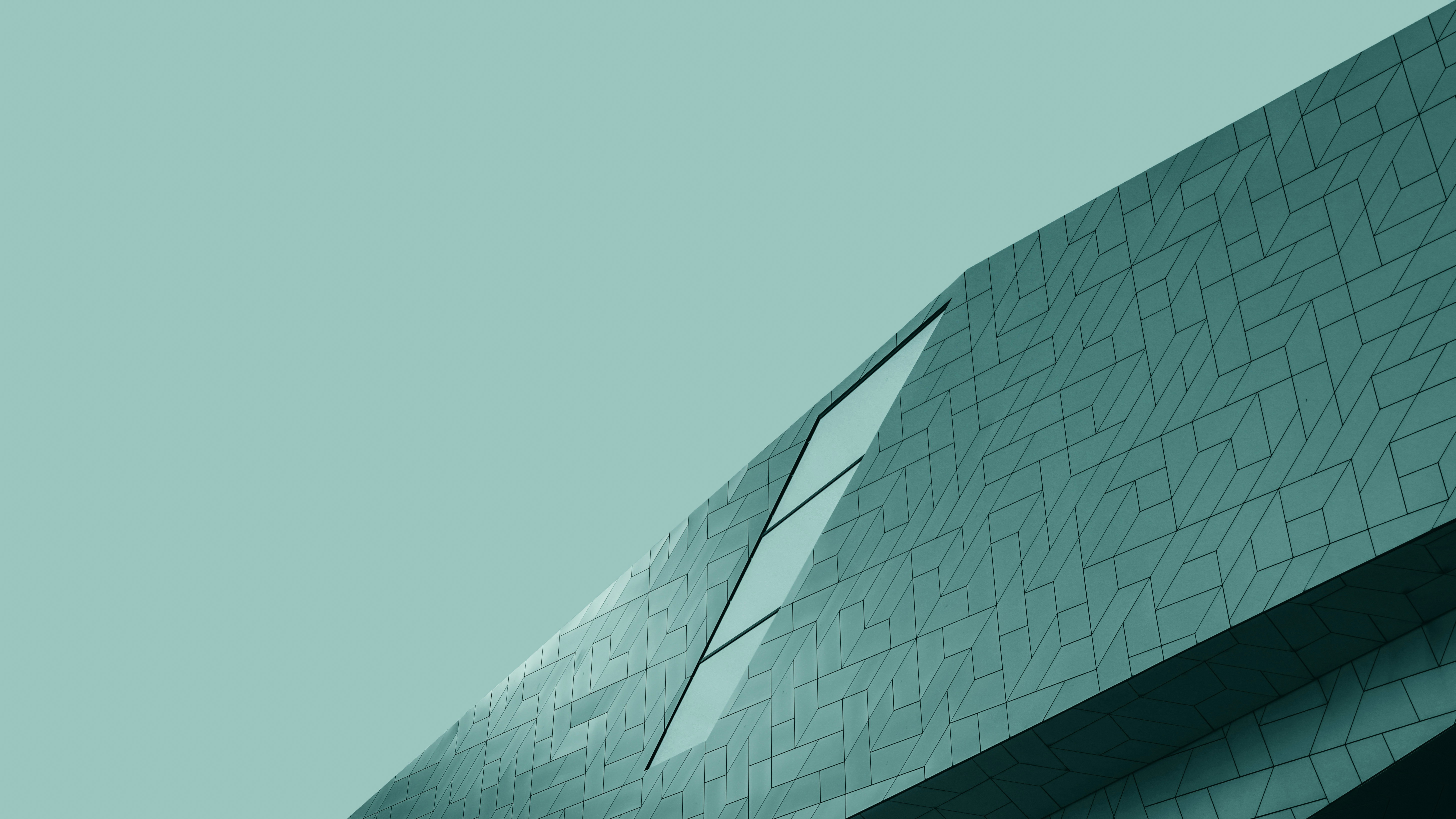 Photo by riffatmuntaz