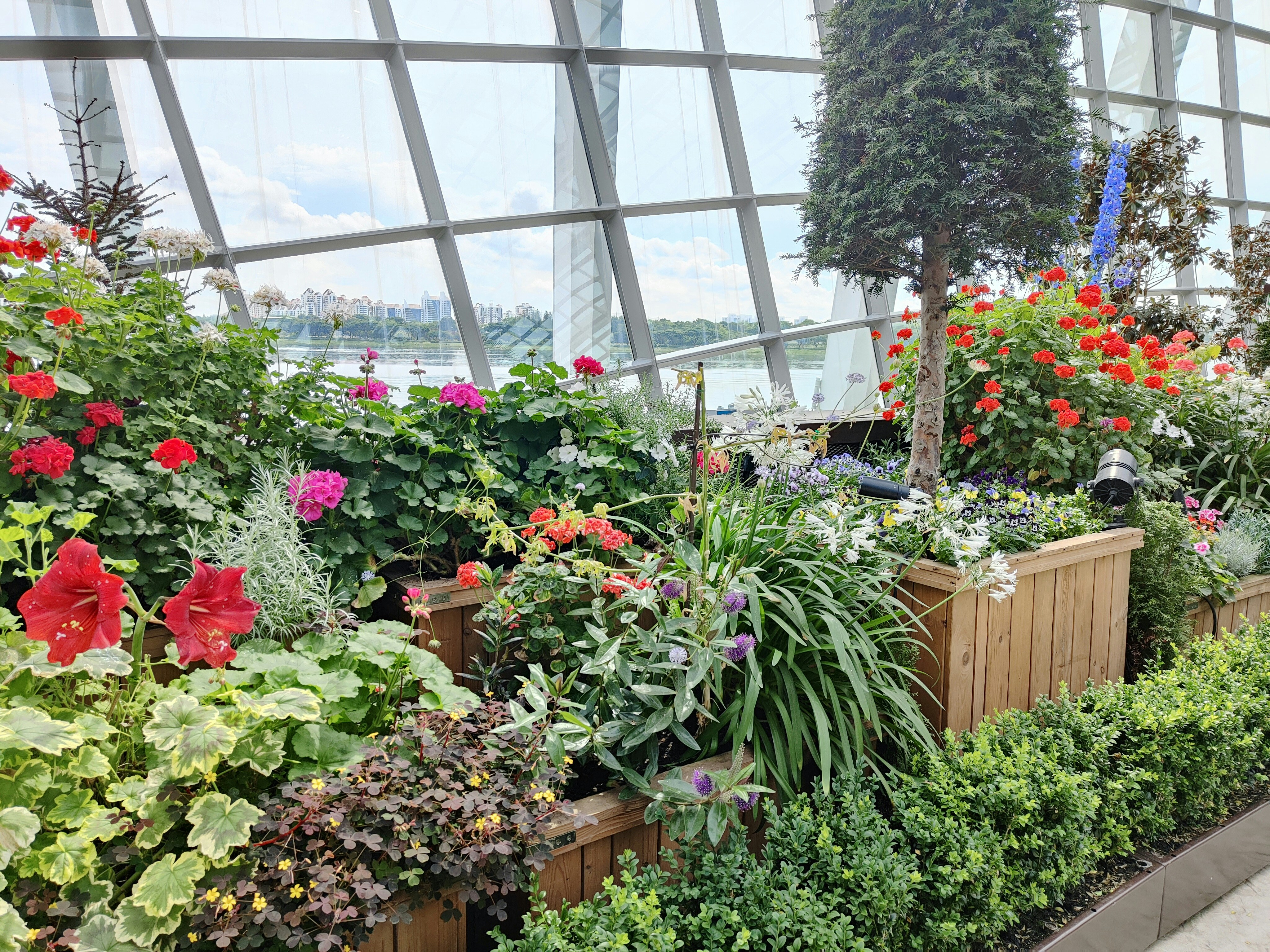 a garden filled with lots of different types of flowers
