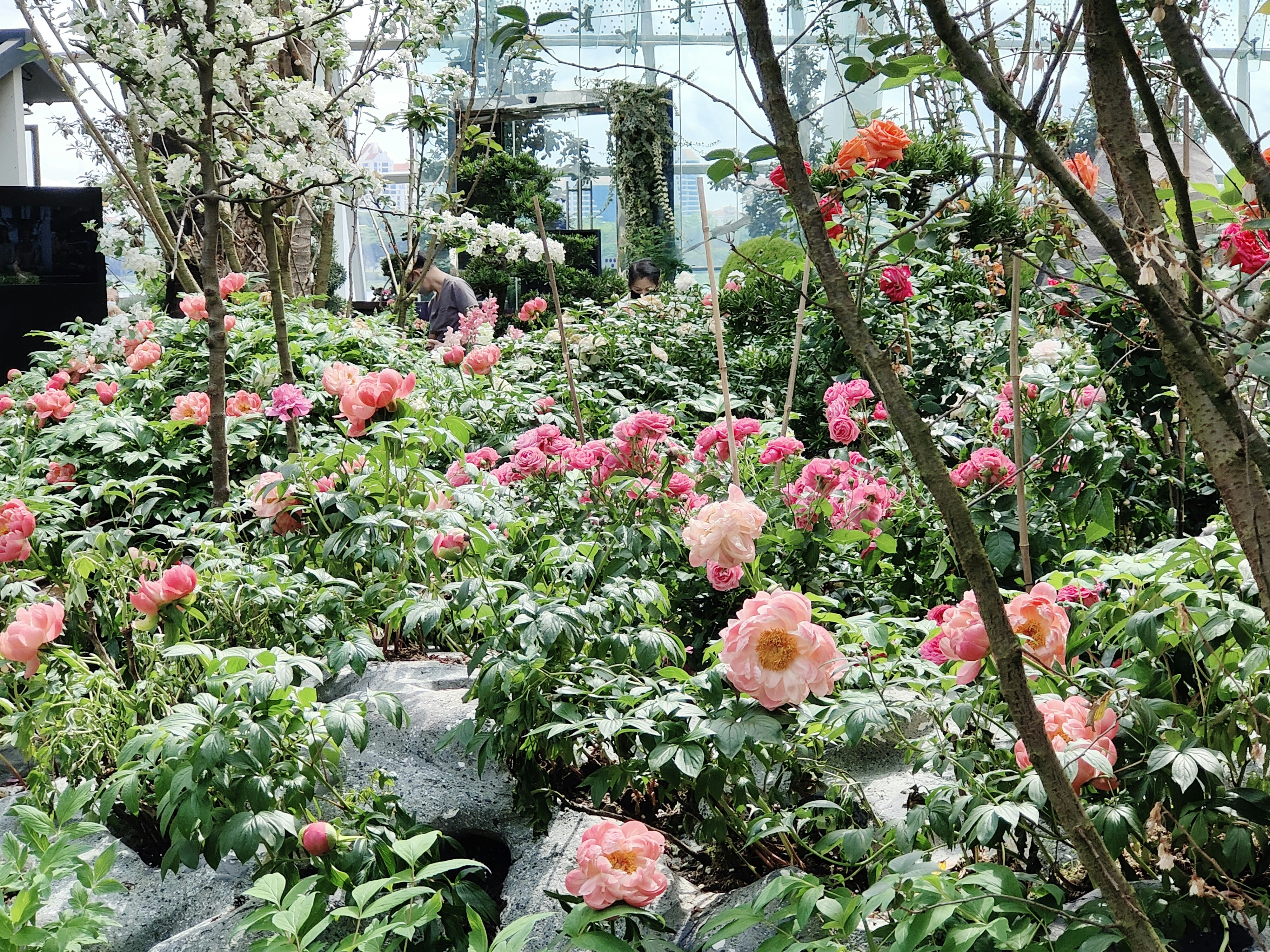 Photo by serenetan1111