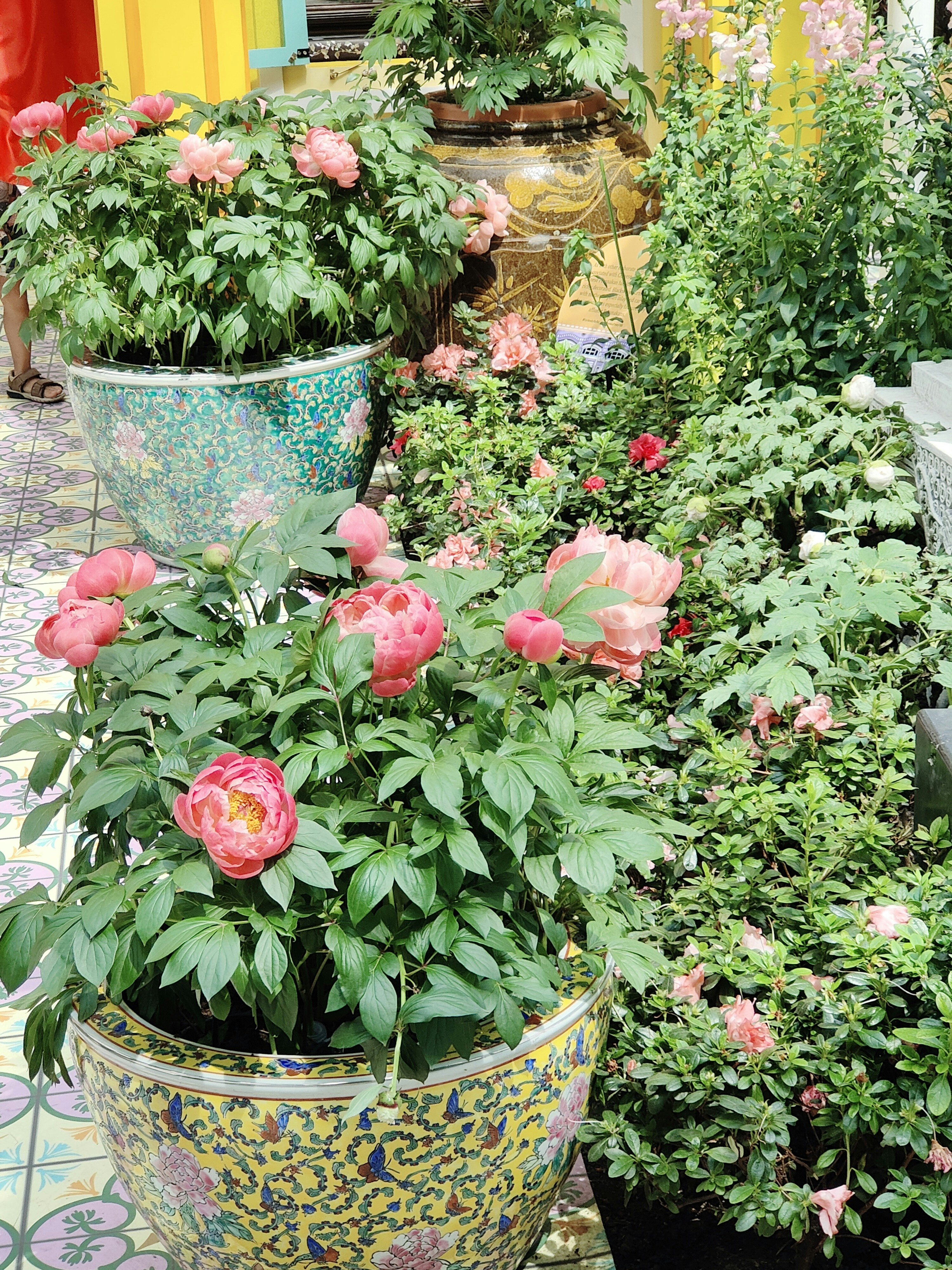 Photo by serenetan1111